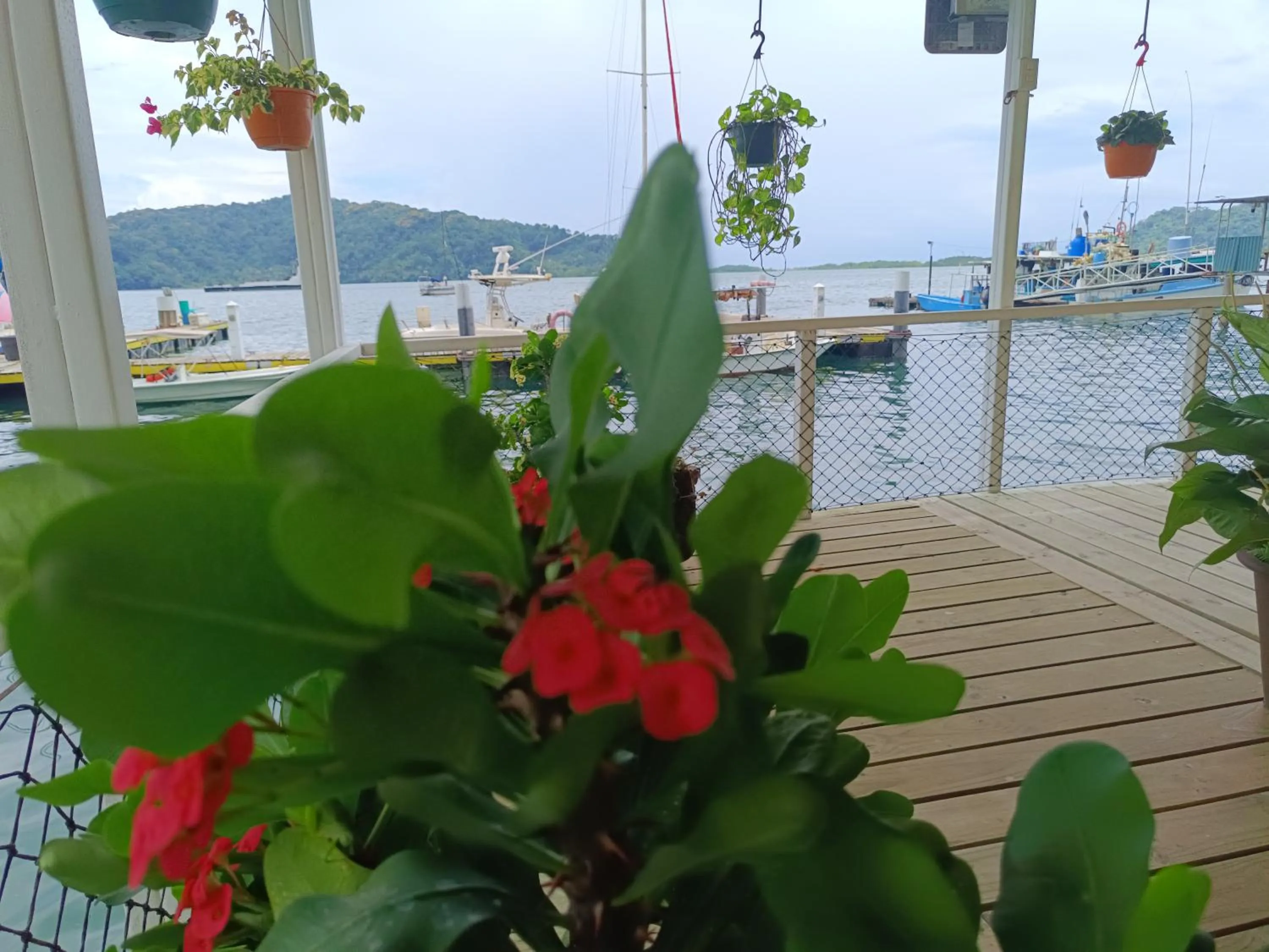 Property building in Banana Bay Marina