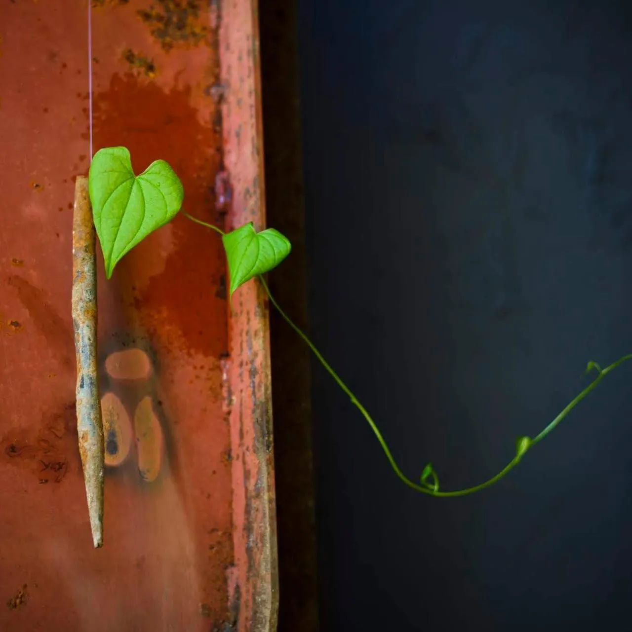 Decorative detail in Sengokuhara Hisanoha