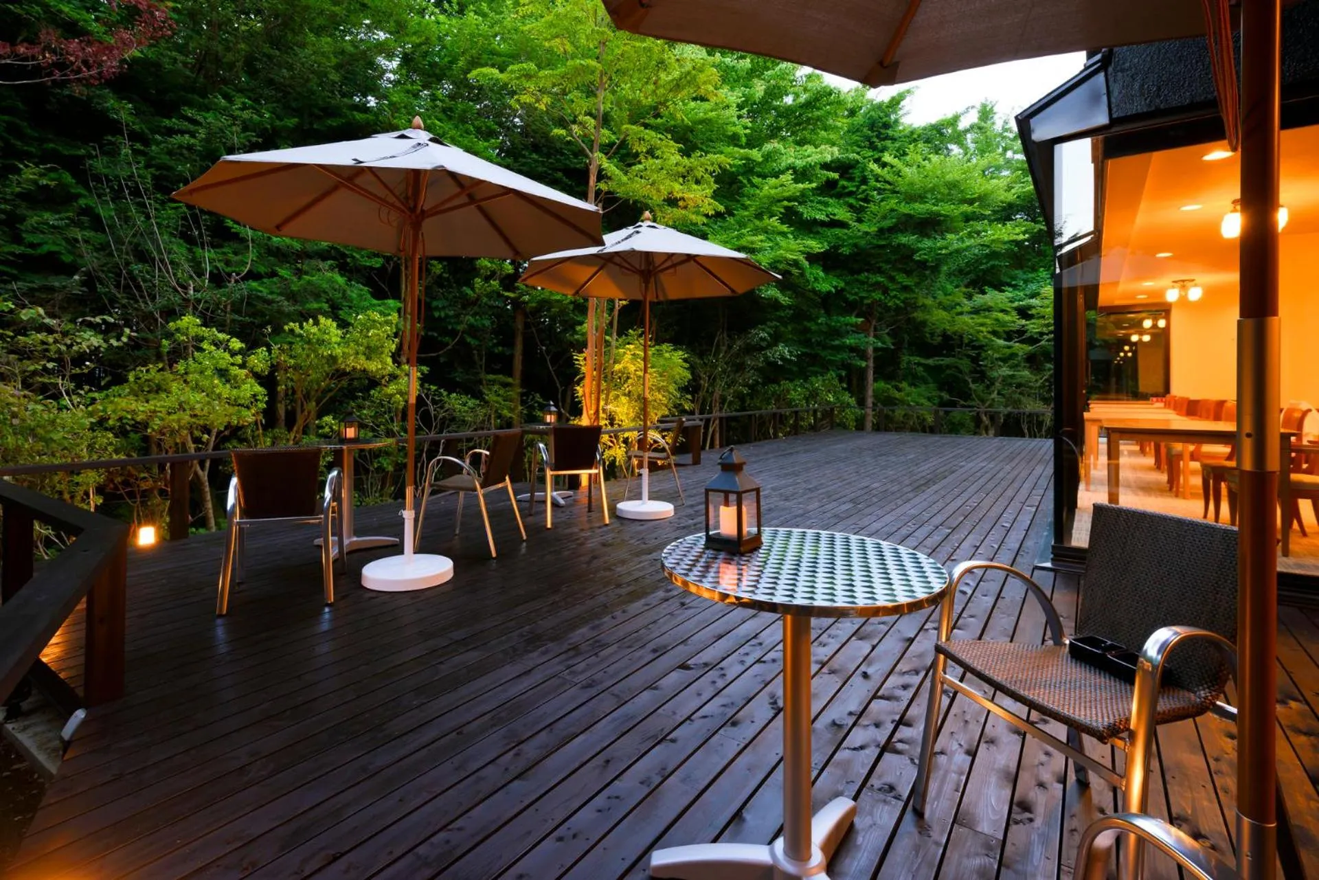 Garden in Sengokuhara Hisanoha