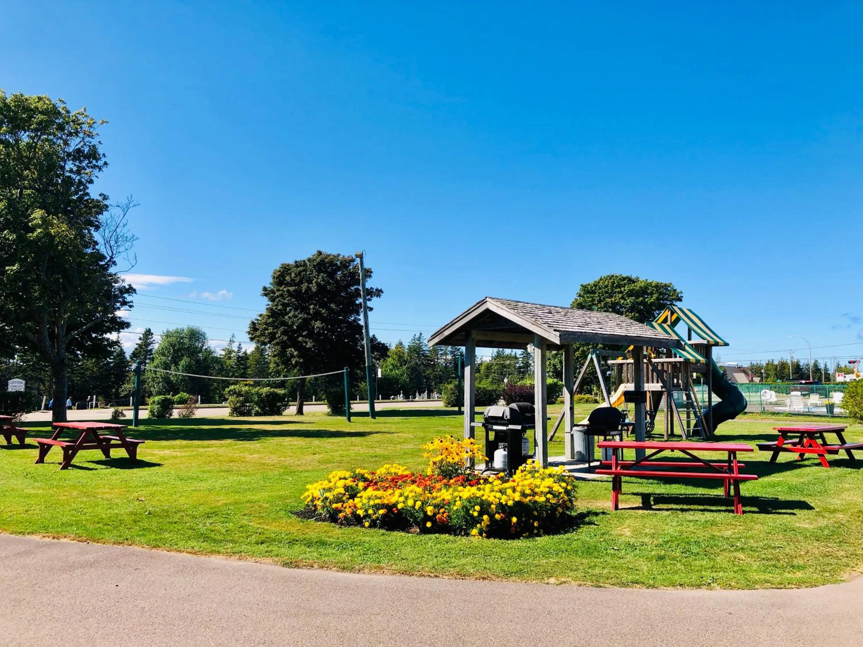 Natural landscape in Anne Shirley Motel & Cottages