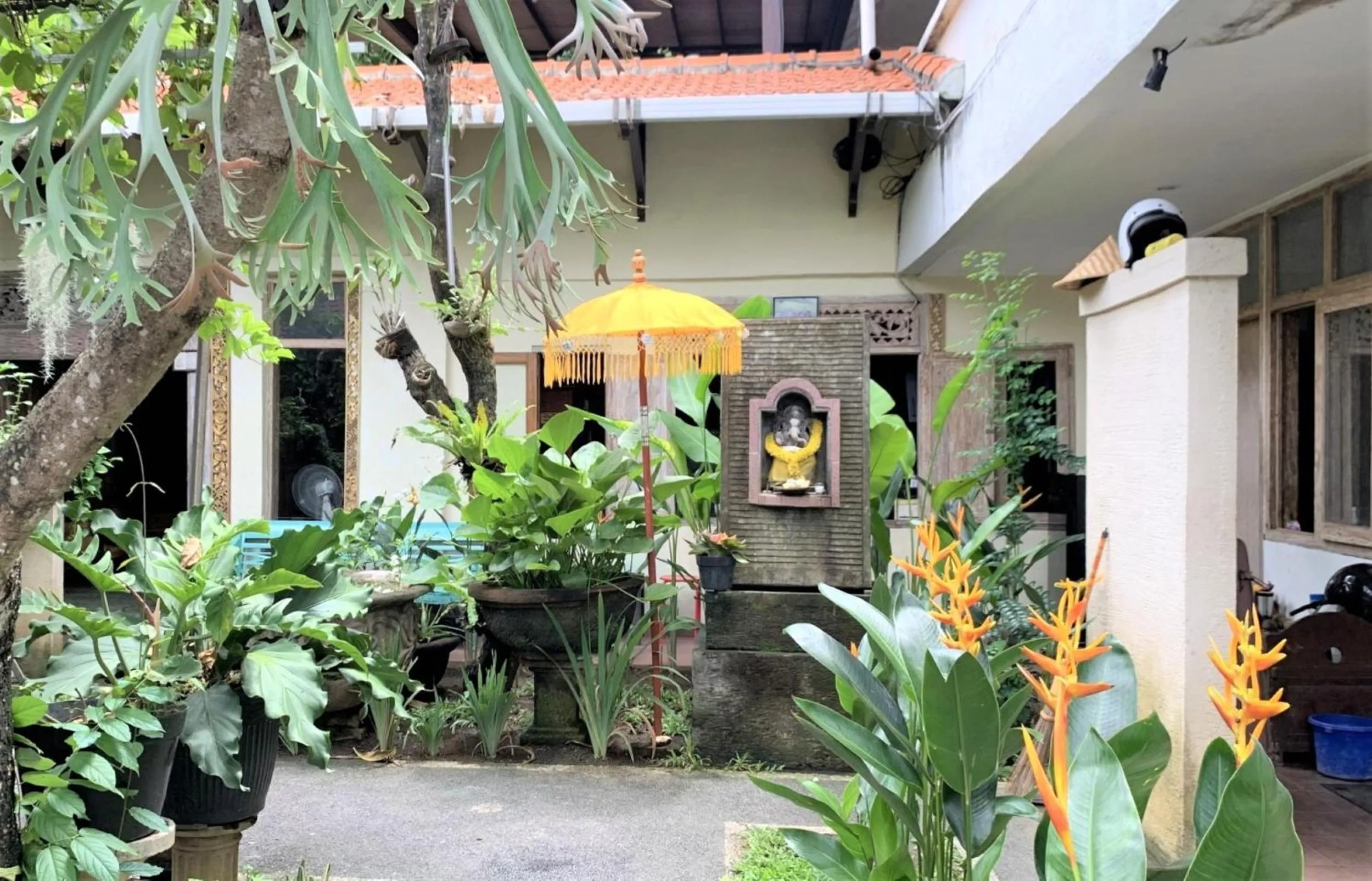 Garden in Chendana Homestay Bali
