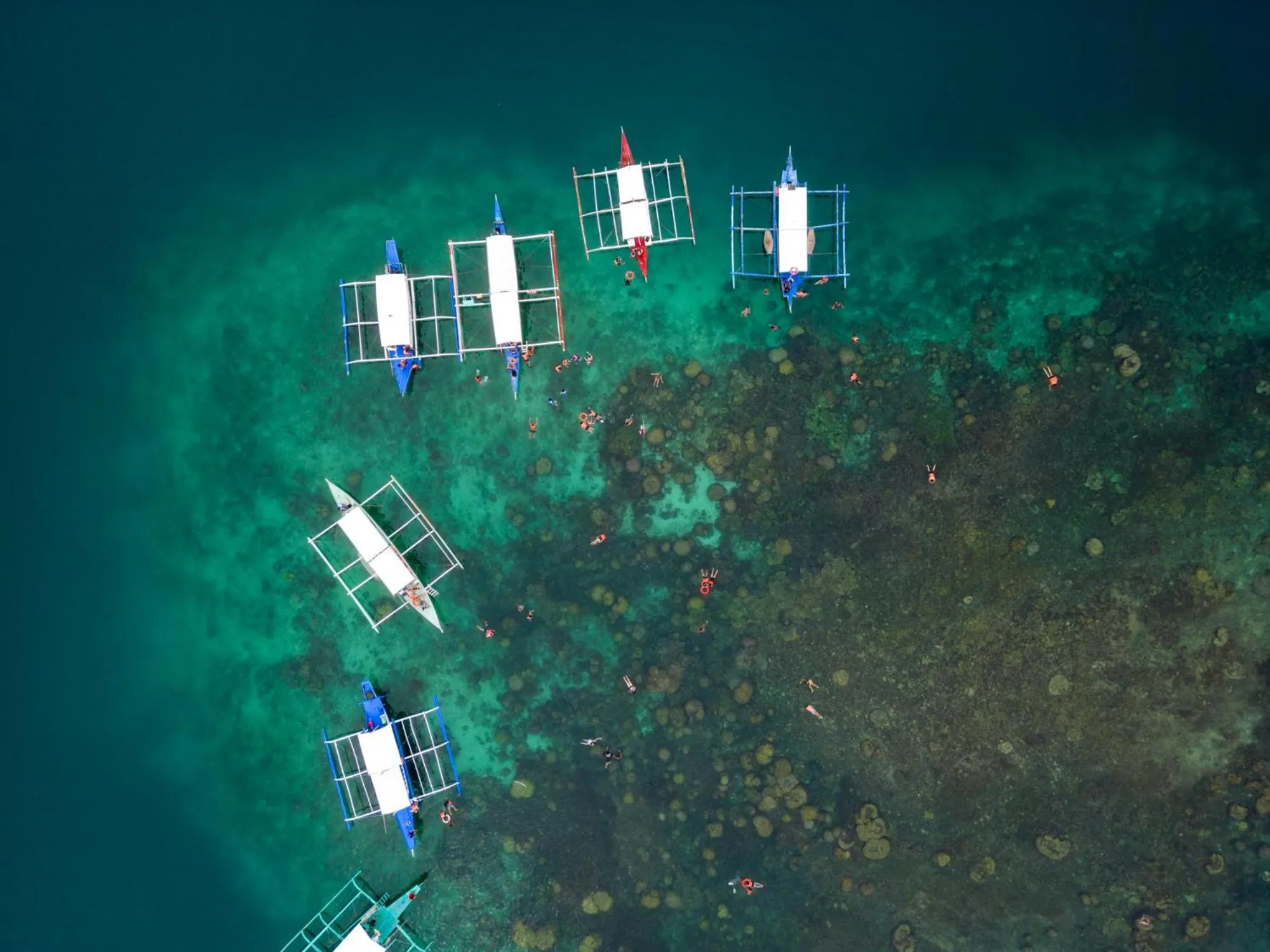 Activities in My Green Hostel