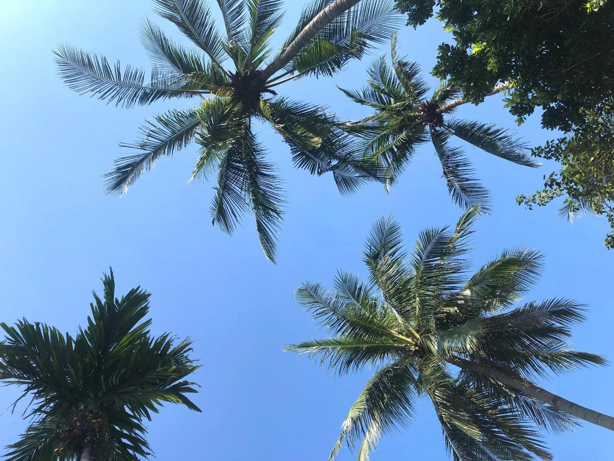 Living at Sphere Family room