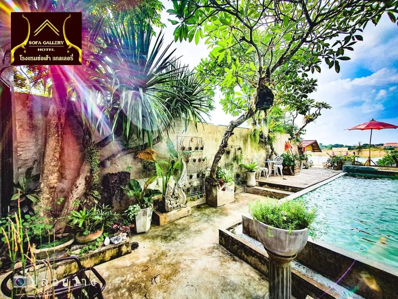 Garden in Sofa Gallery Hotel