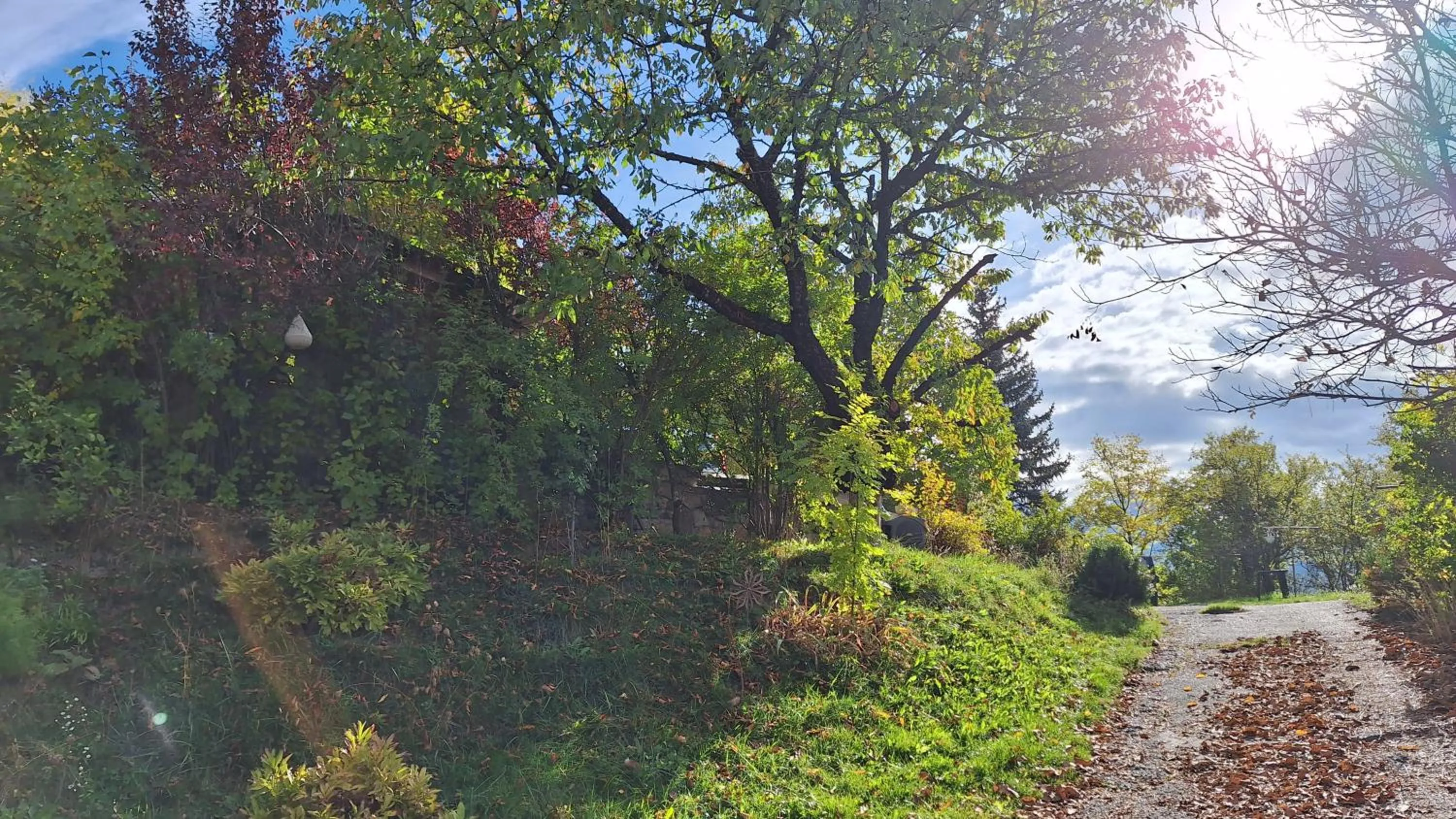 Garden in B&B l'Edelweiss
