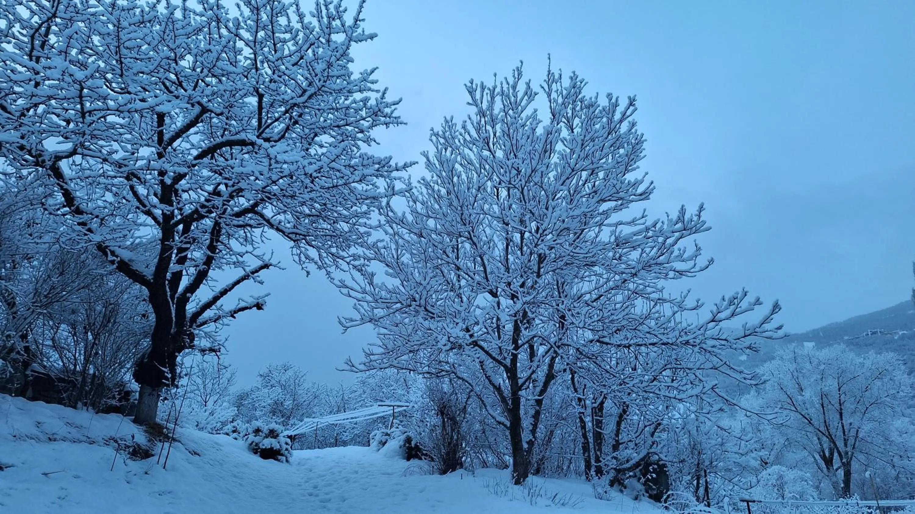 Garden in B&B l'Edelweiss