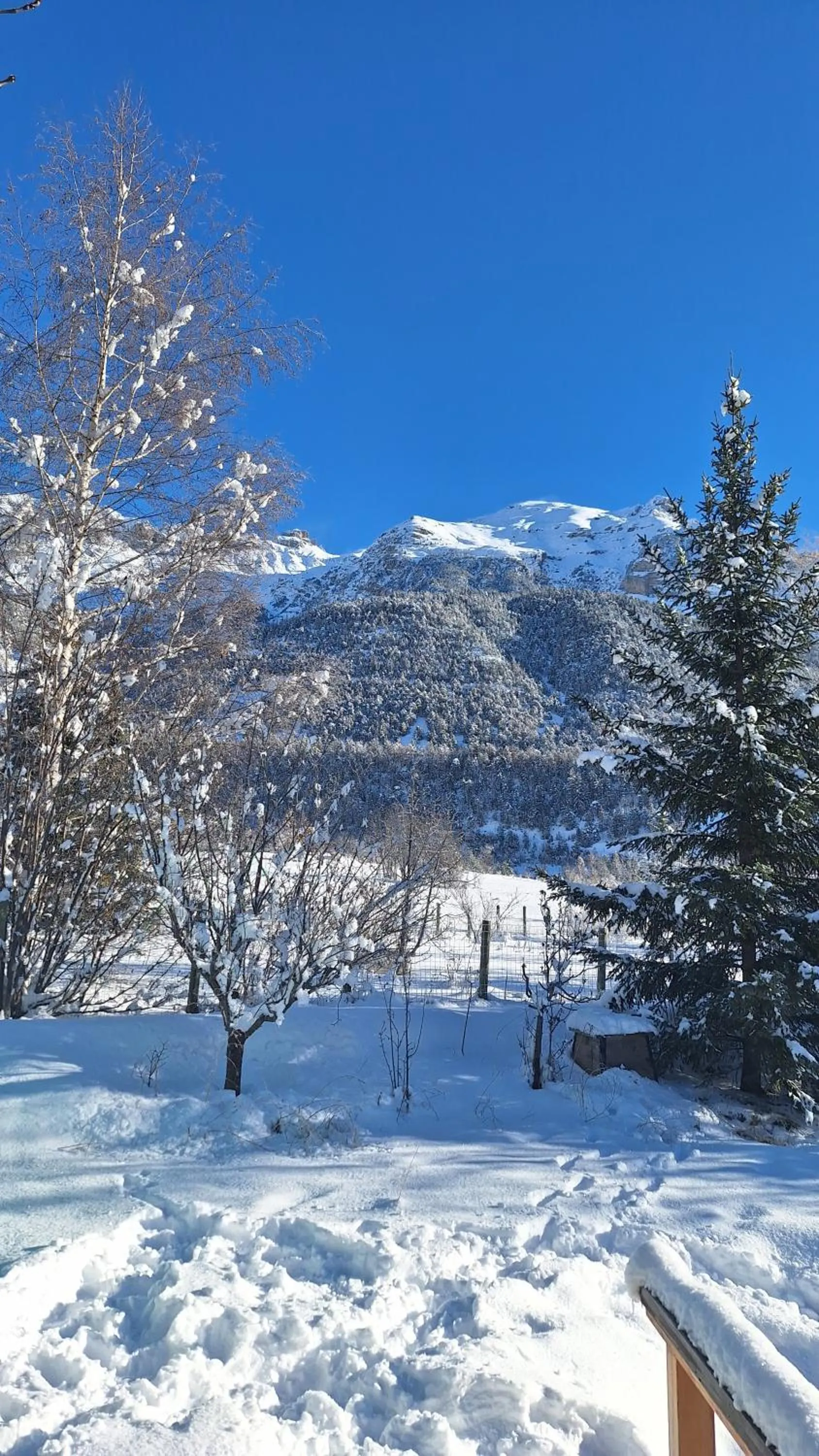 Garden in B&B l'Edelweiss