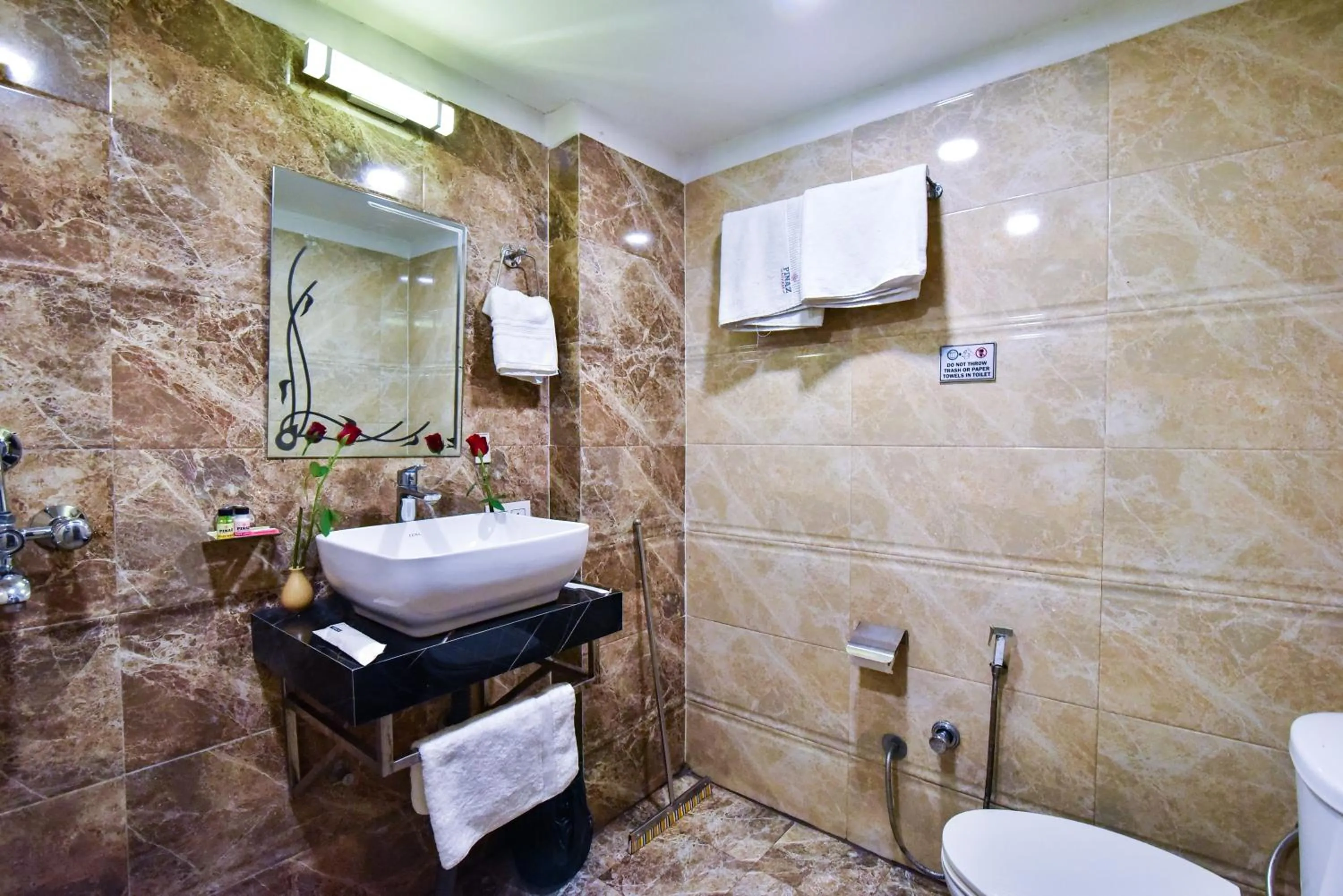 Bathroom in Pinaz Royale