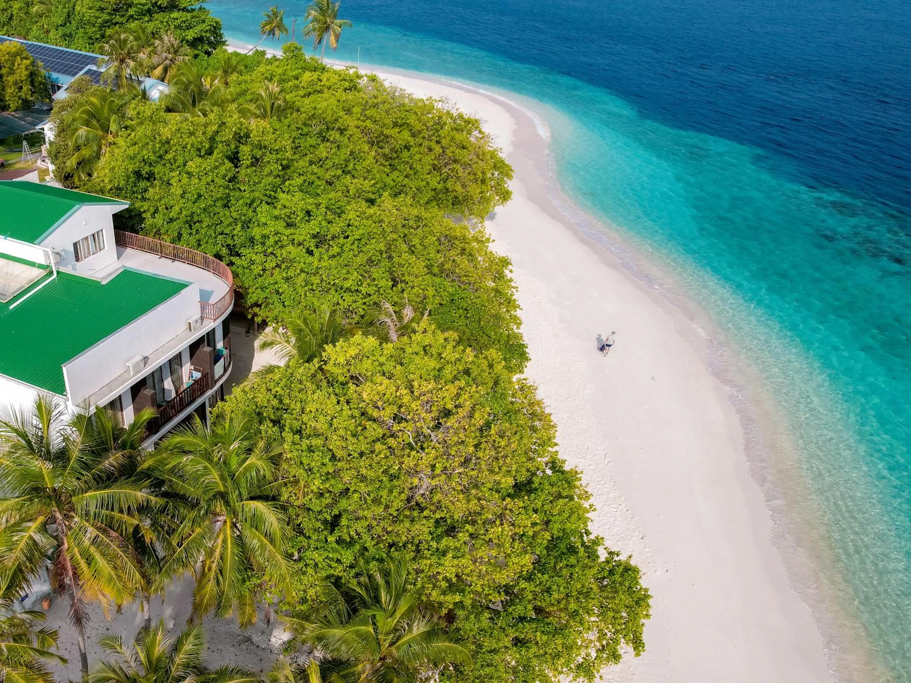 Day in Thundi by Biosphere