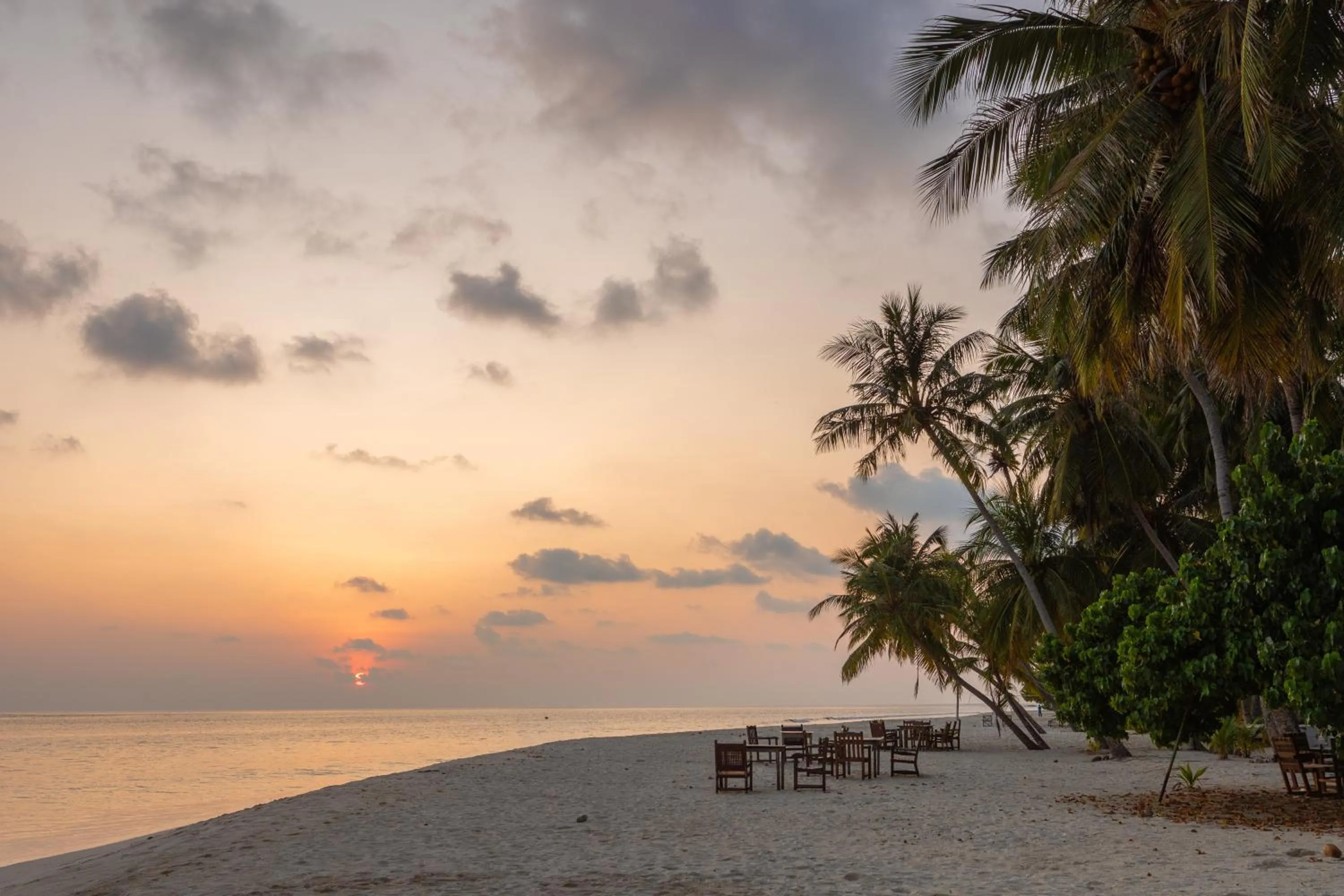 Neighbourhood in Thundi Village & Spa