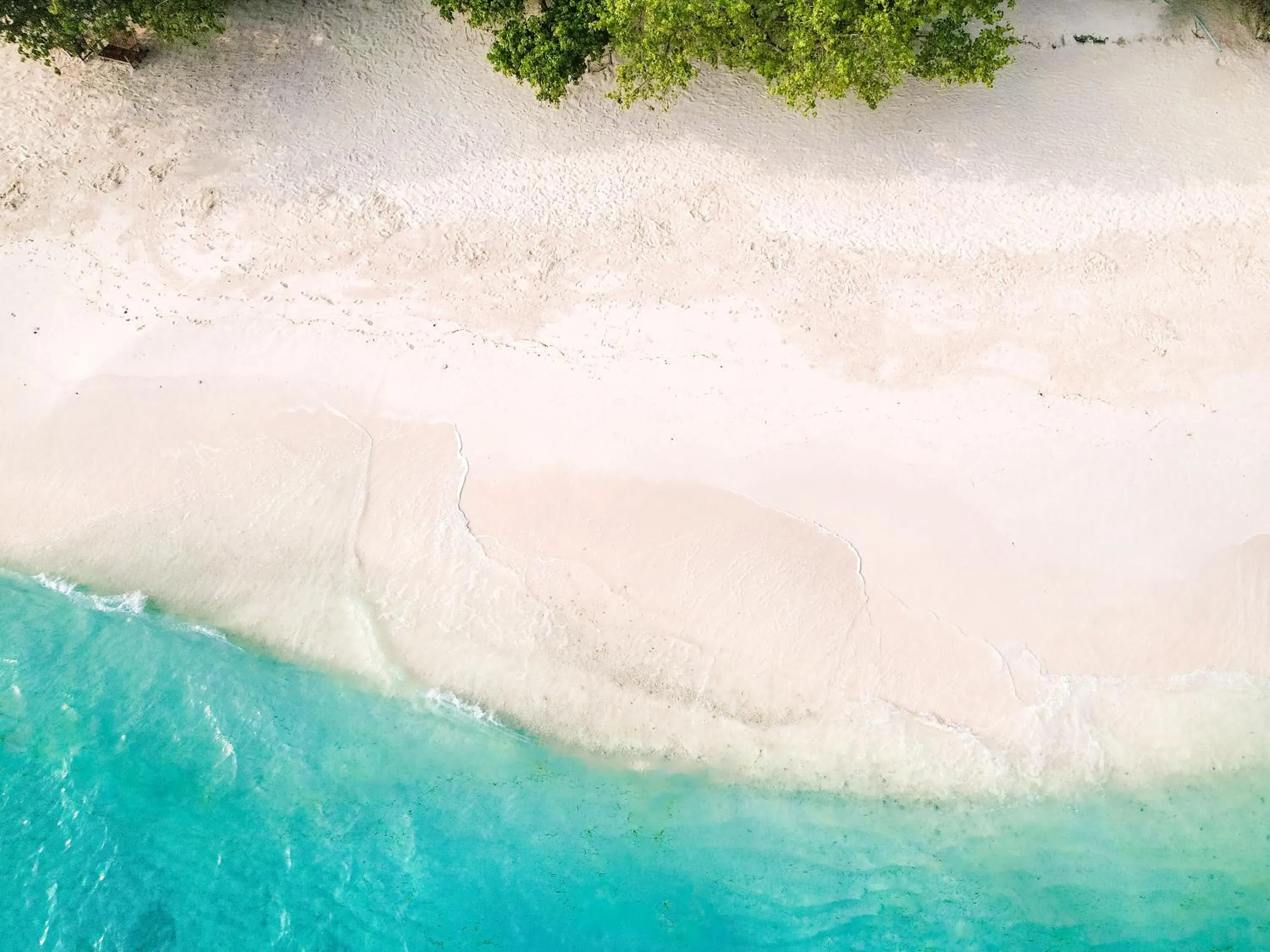 Day in Thundi by Biosphere