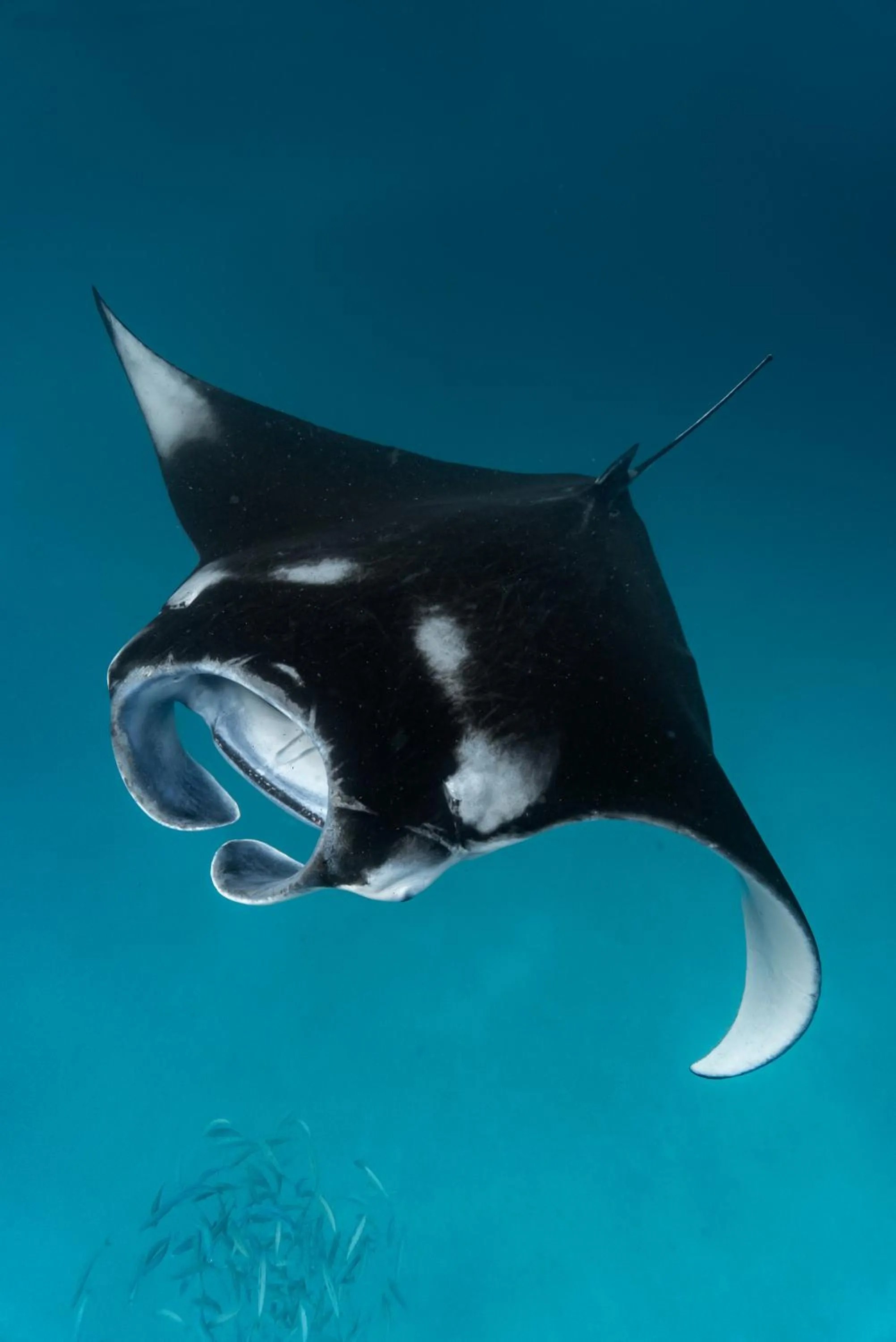 Activities in Thundi Village & Spa