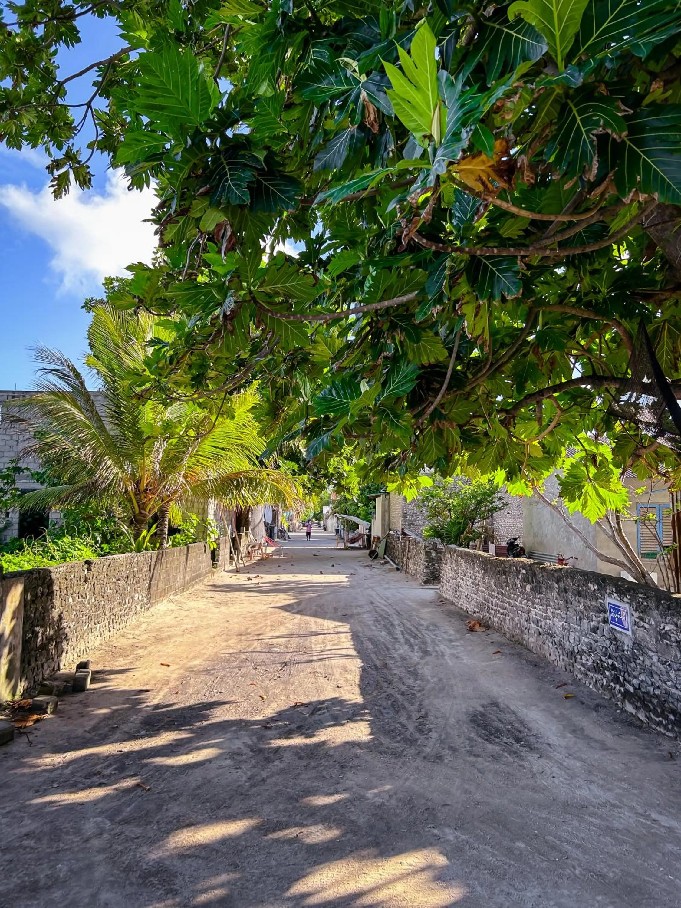 Neighbourhood in Thundi Village & Spa