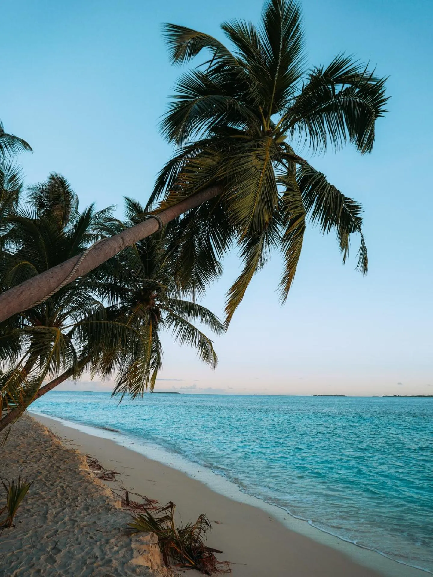 Beach in Thundi Village & Spa