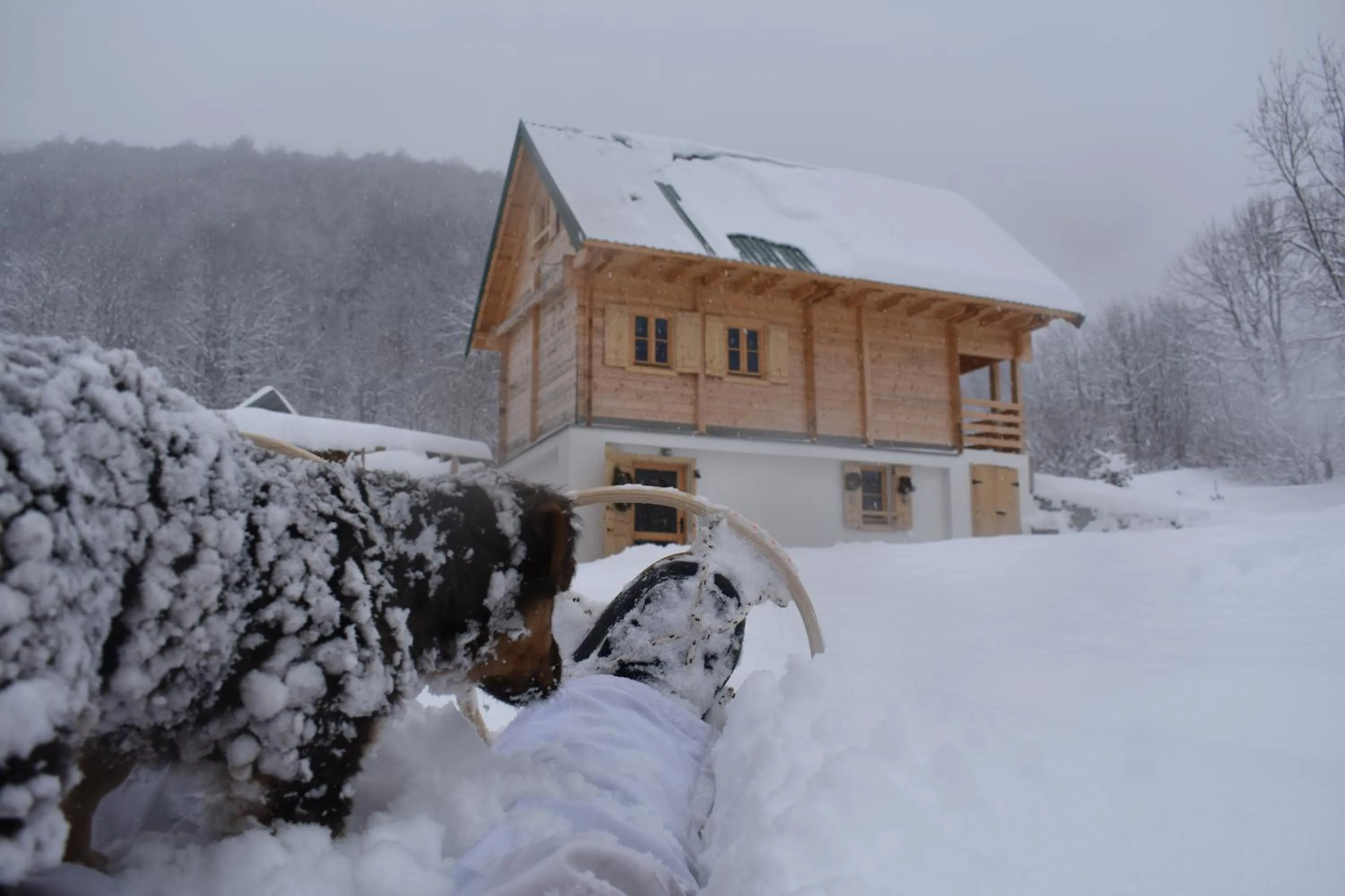 Property building in Mountain Lodge Mont Peace