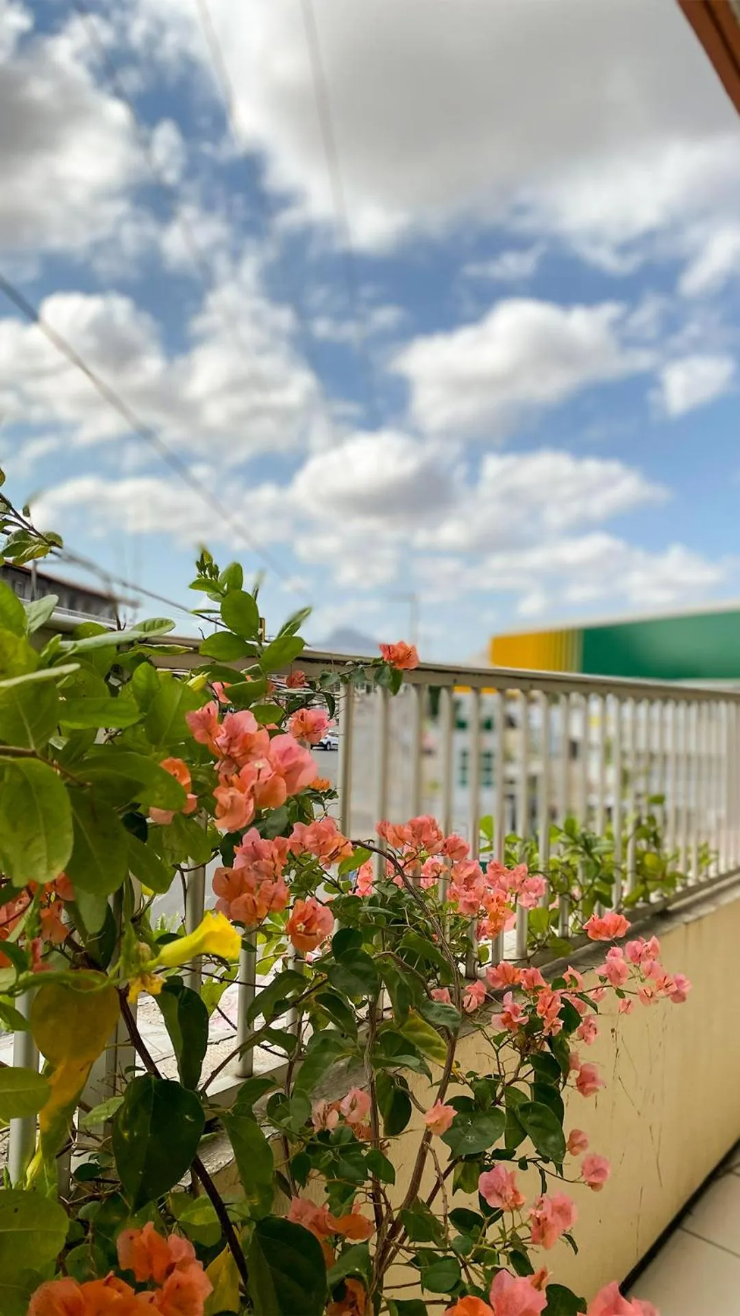 Balcony/Terrace in Hotel Monólitos
