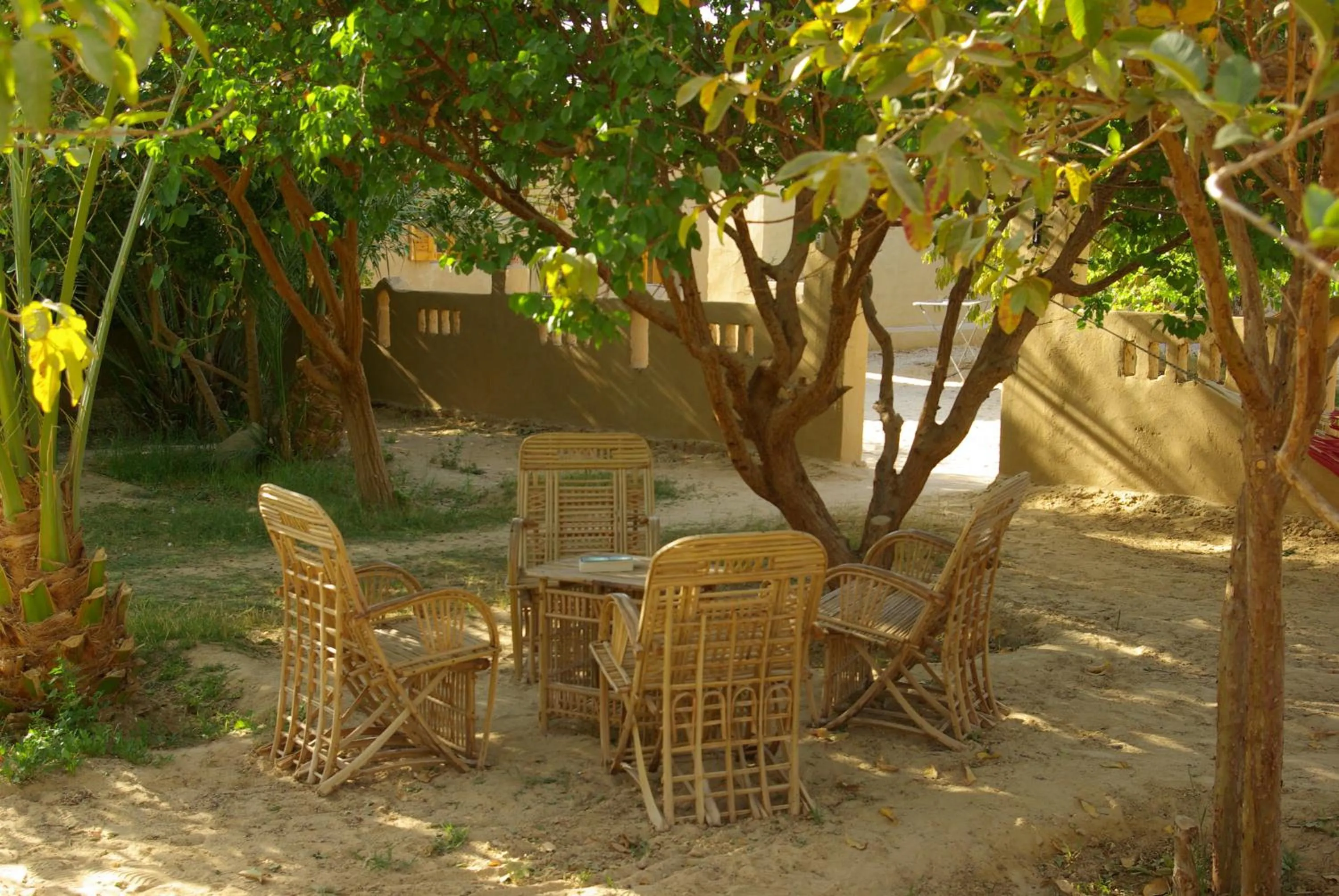 Garden in Rahala Safari Hotel
