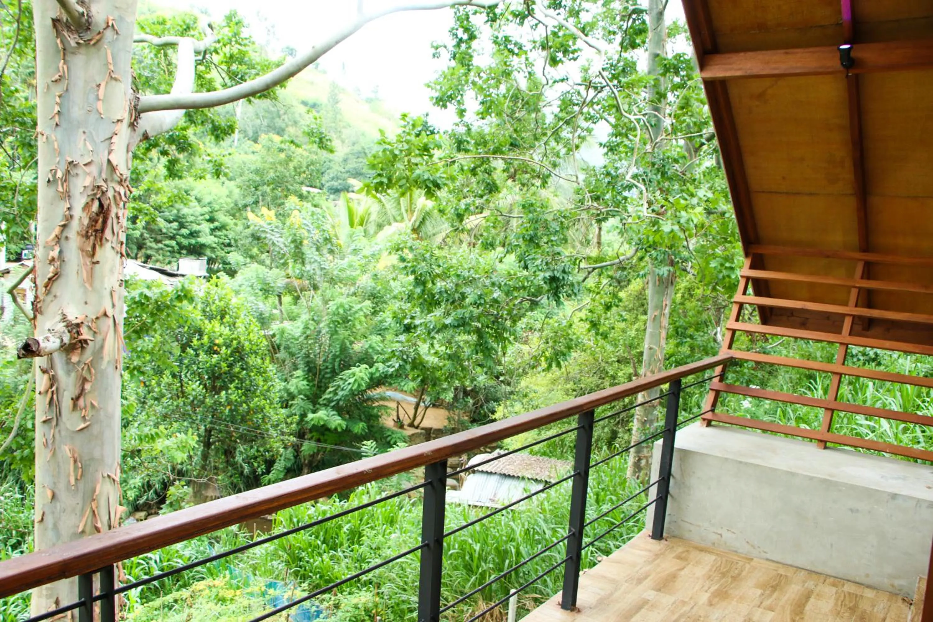 Balcony/Terrace in Aloft Grand Hotel Ella