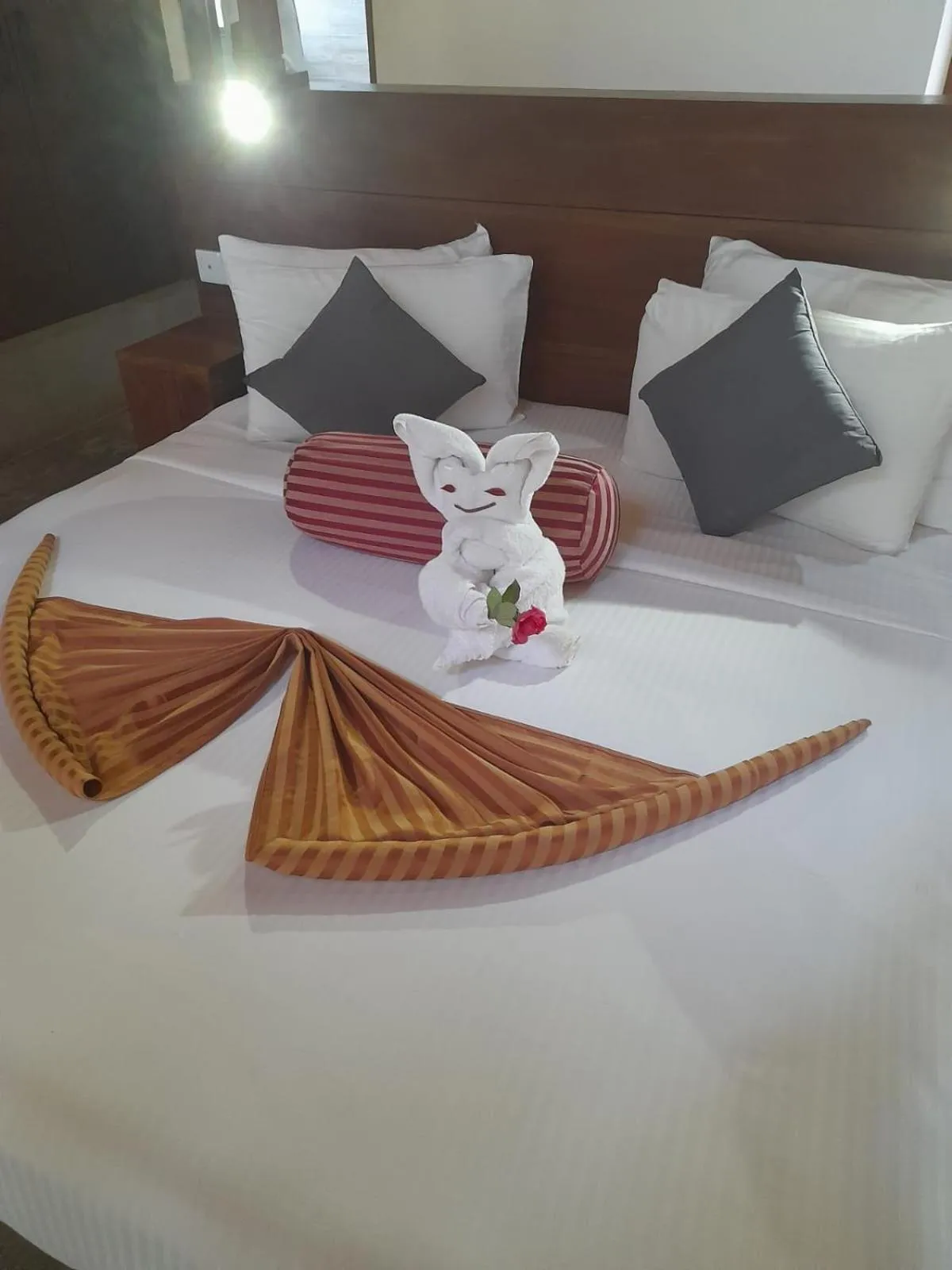 Bed in Aloft Grand Hotel Ella