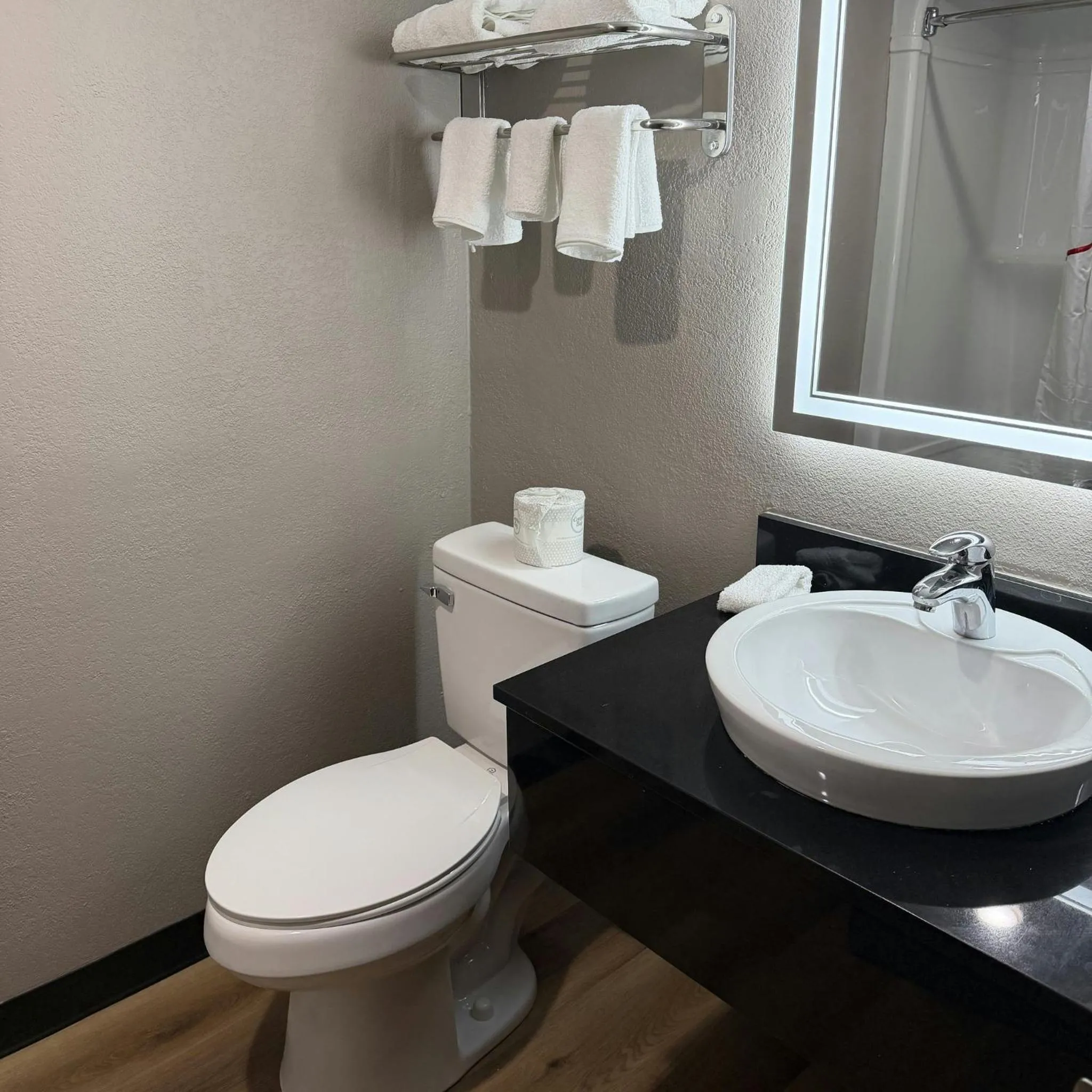 Bathroom in Red Roof Inn Kokomo