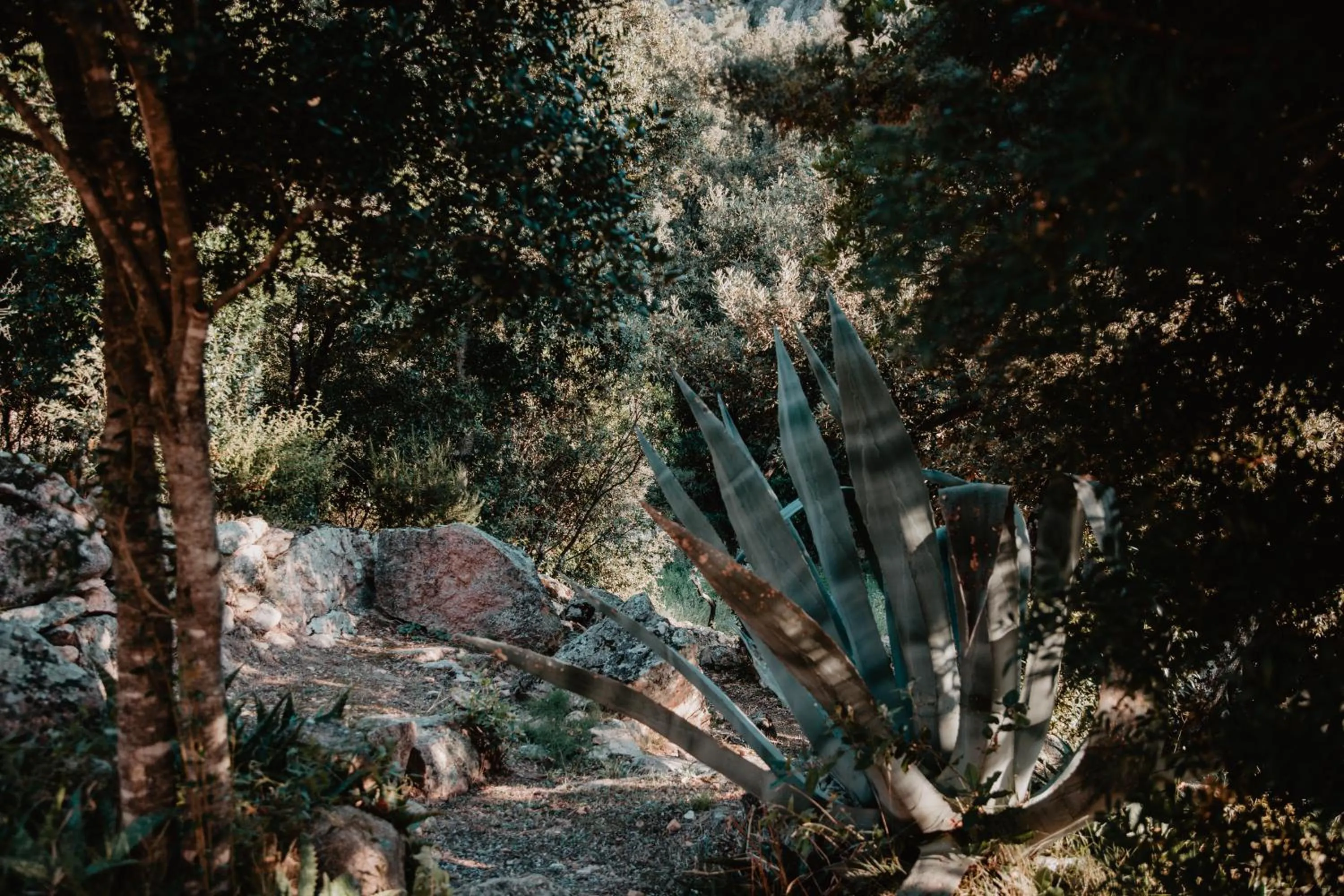 Decorative detail in L'Aiglon