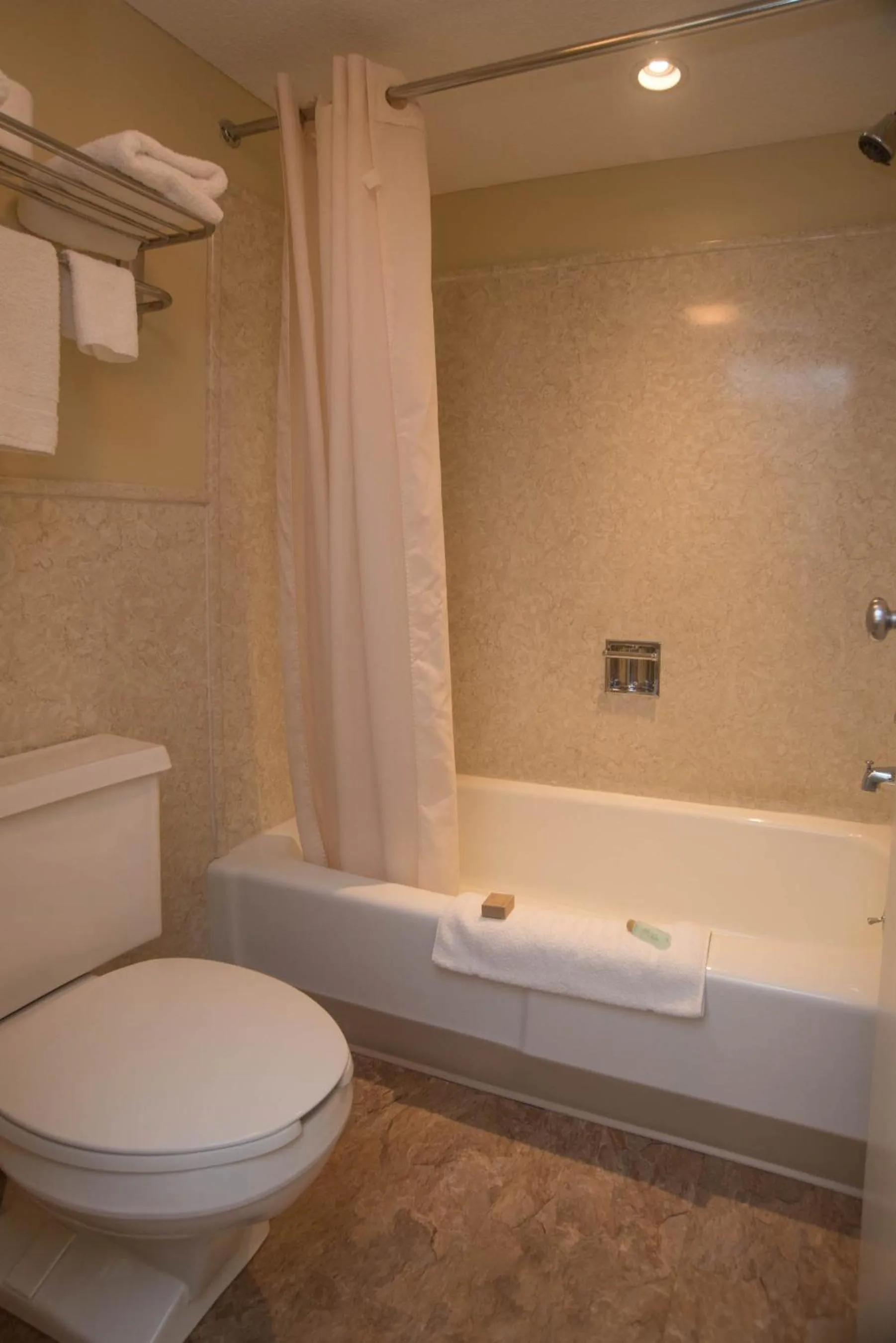 Toilet in Colonnade Inn