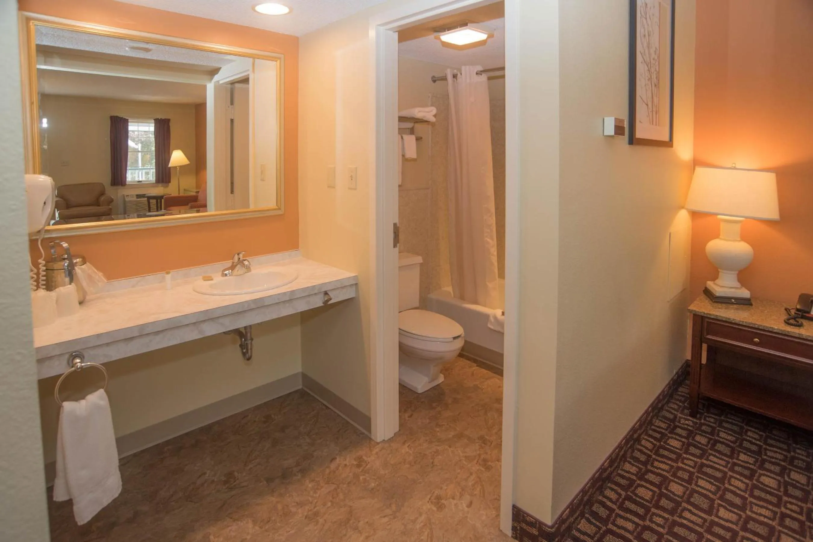 Bathroom in Colonnade Inn