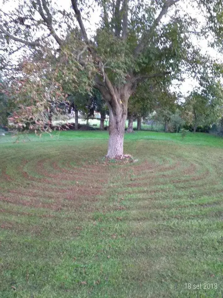 Double Room in BeB Infamiglia Double Room in BeB Infamiglia