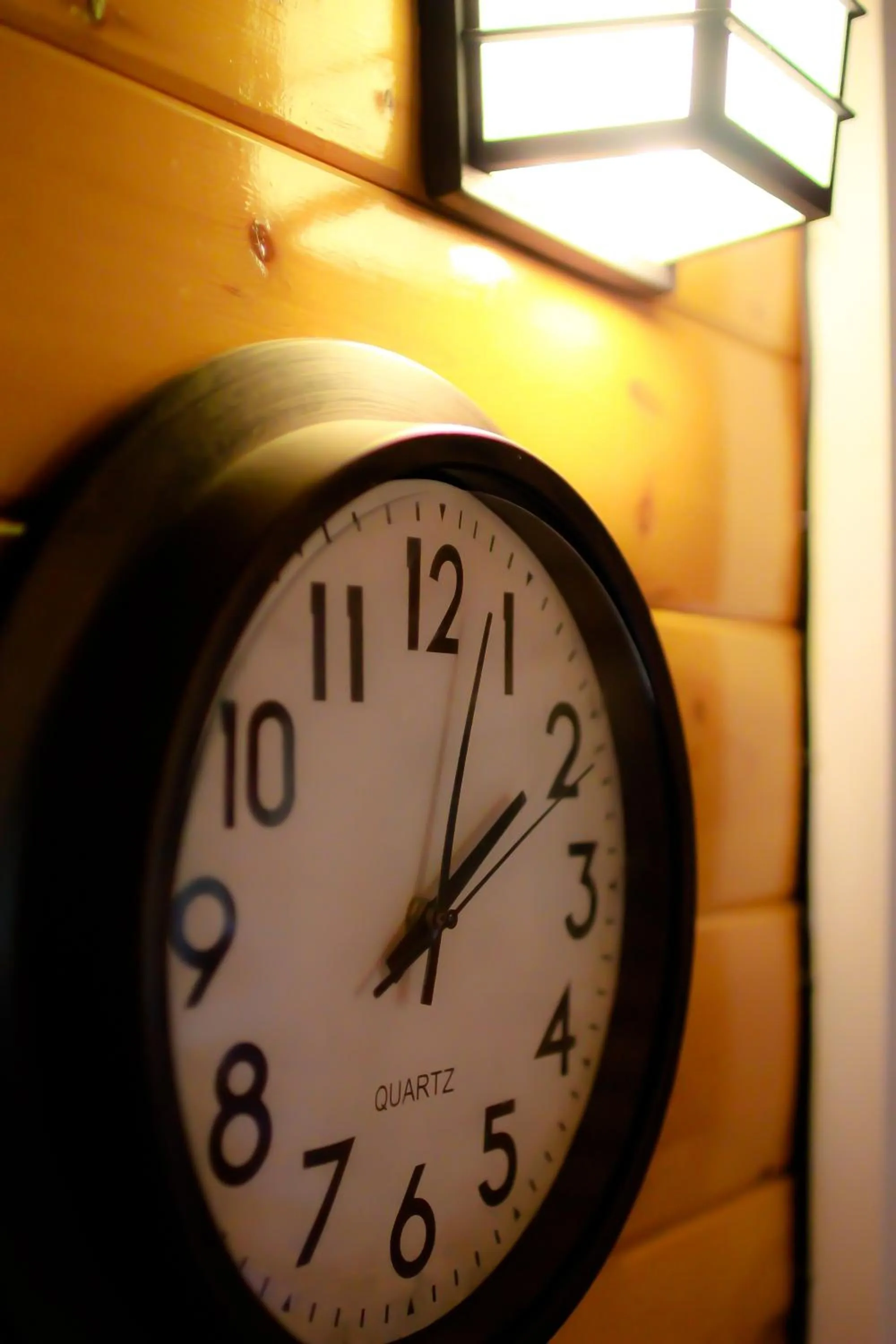 Decorative detail in Mt. Revelstoke Alpine Chalets