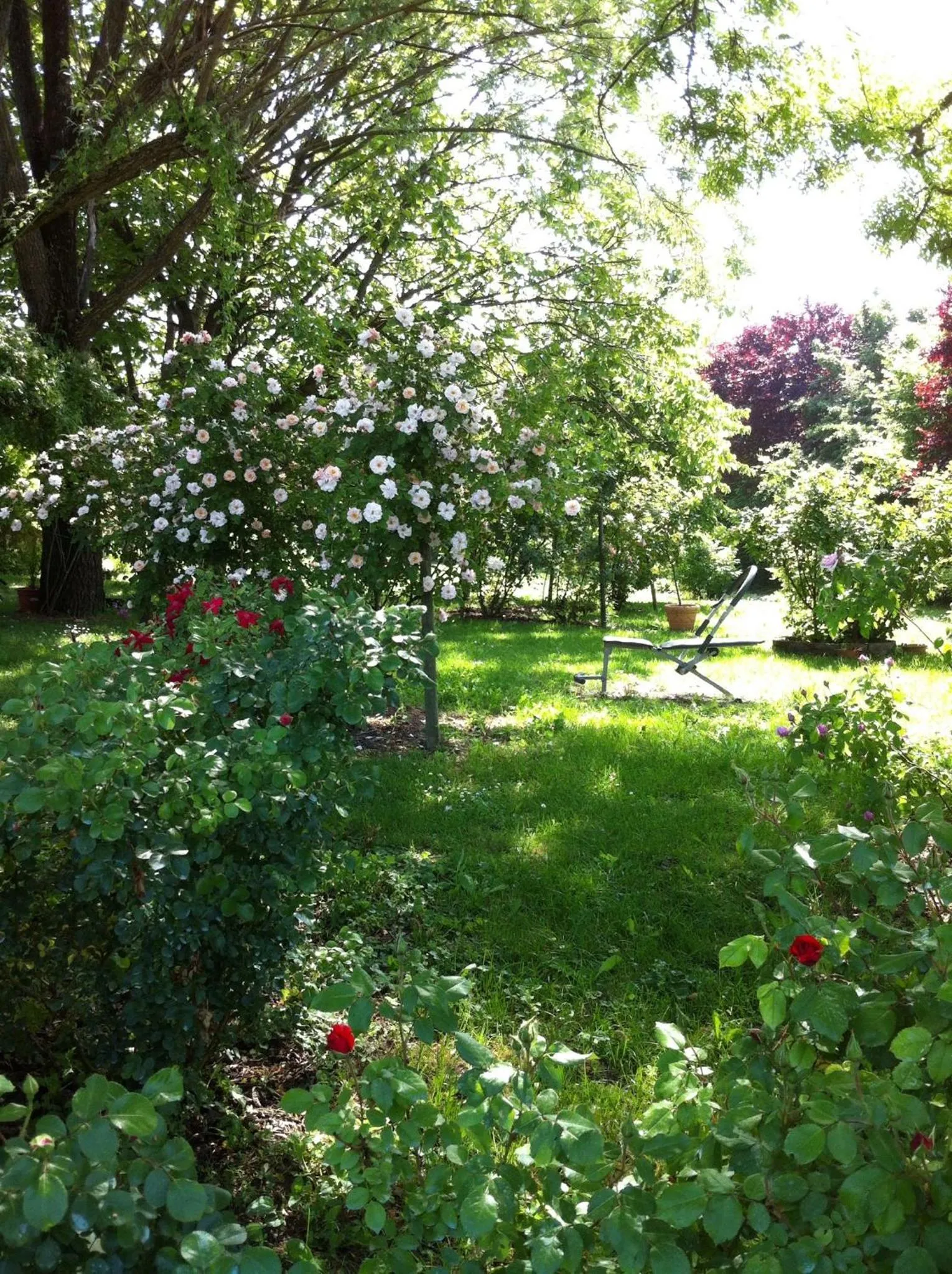 Garden view in Casa a Soliera