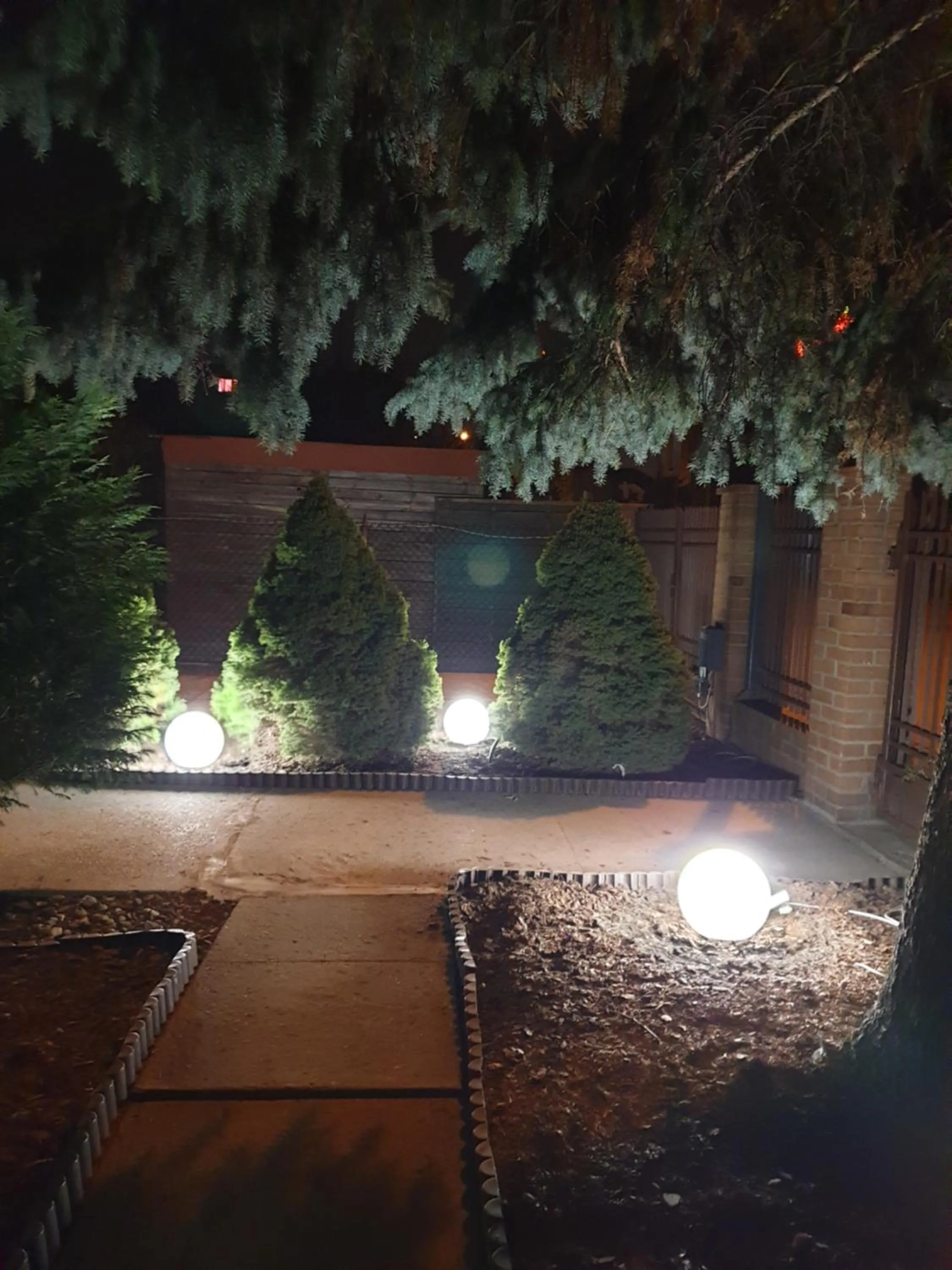 Night in WILLA BAJLAND