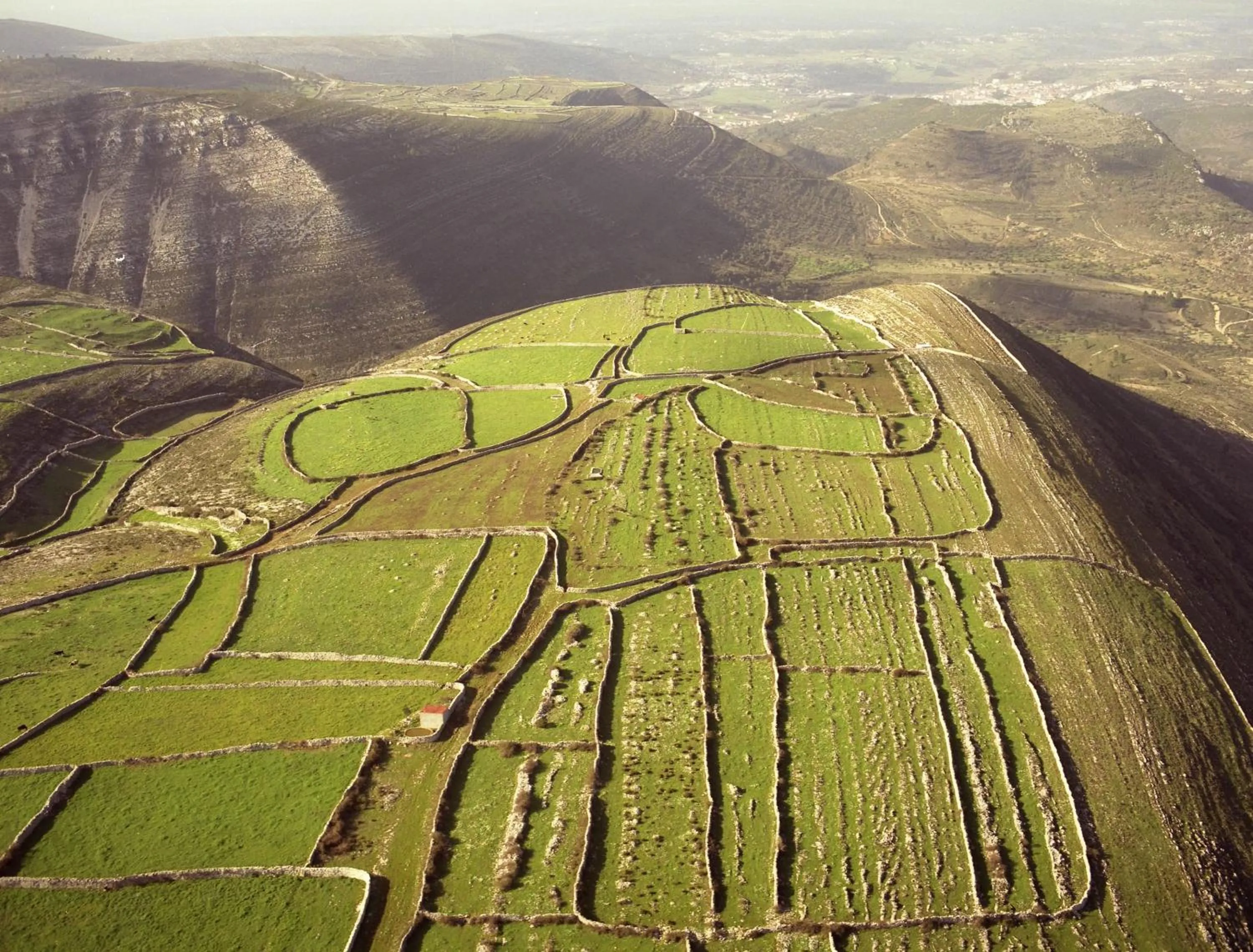 Bird's eye view in The Nest by Cooking and Nature