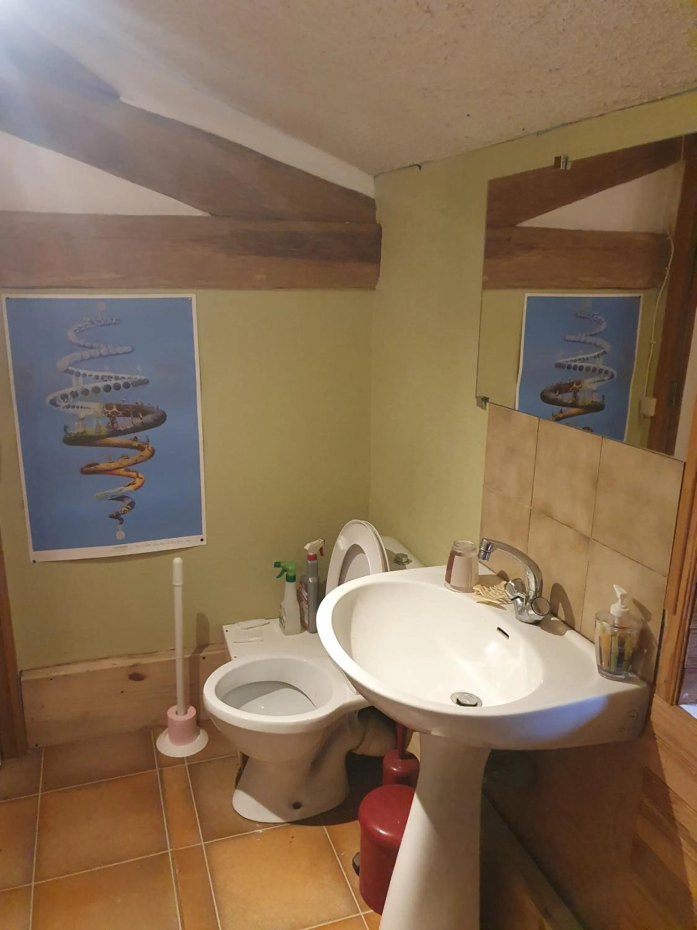 Toilet in Chambre d’hôtes de Vauguenige