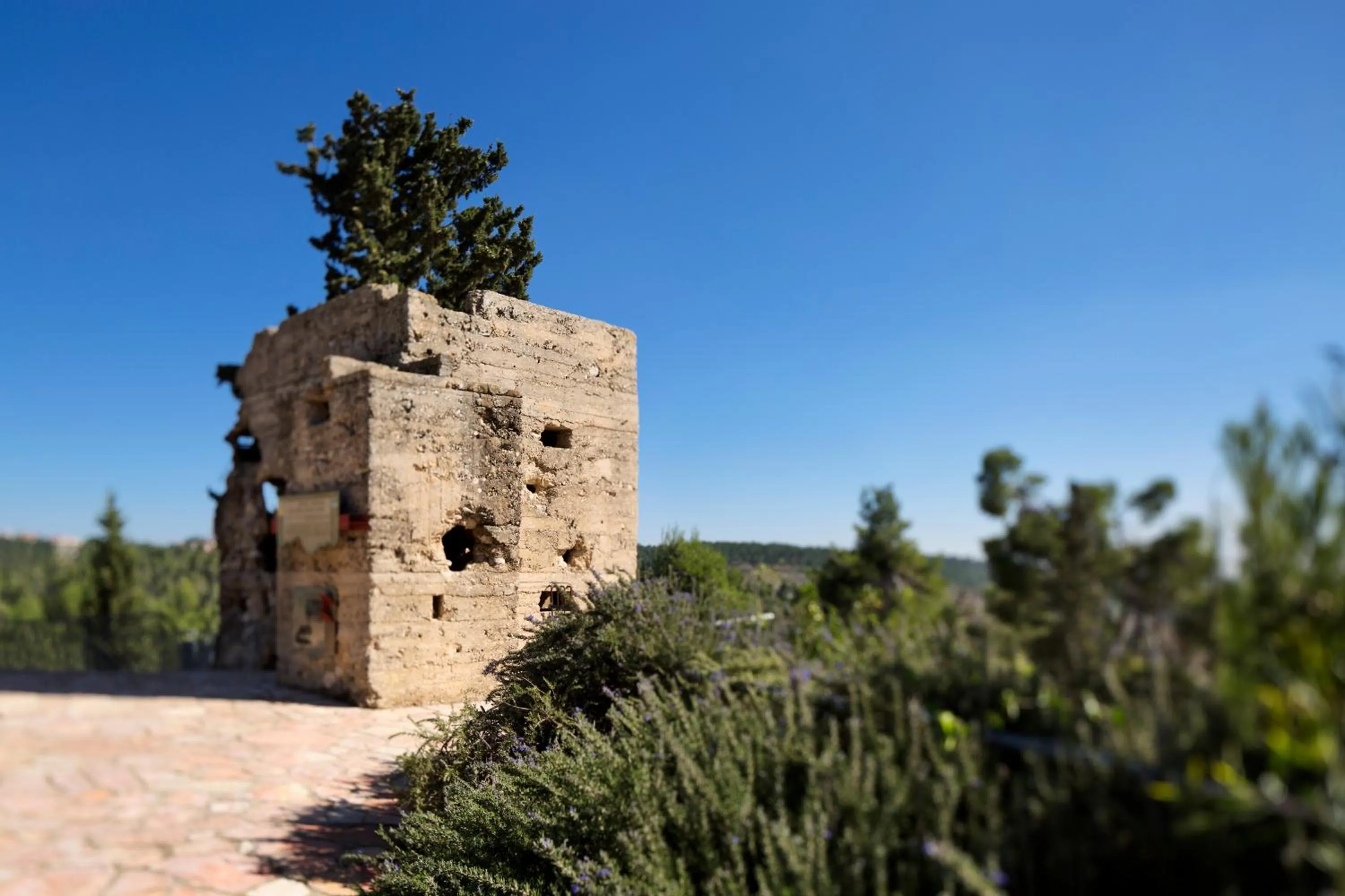 Day in Ye'arim Hotel