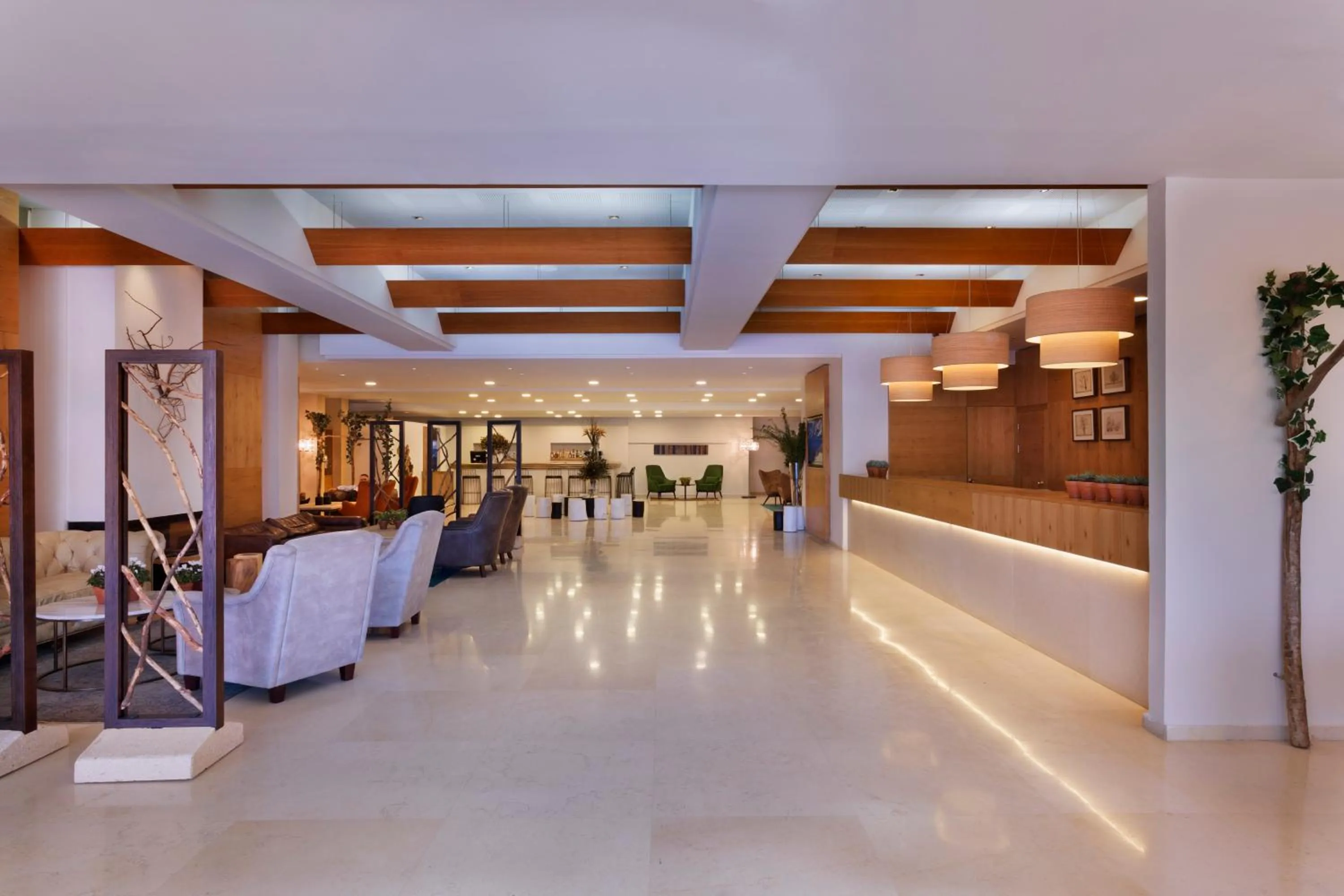 Lobby or reception in Ye'arim Hotel