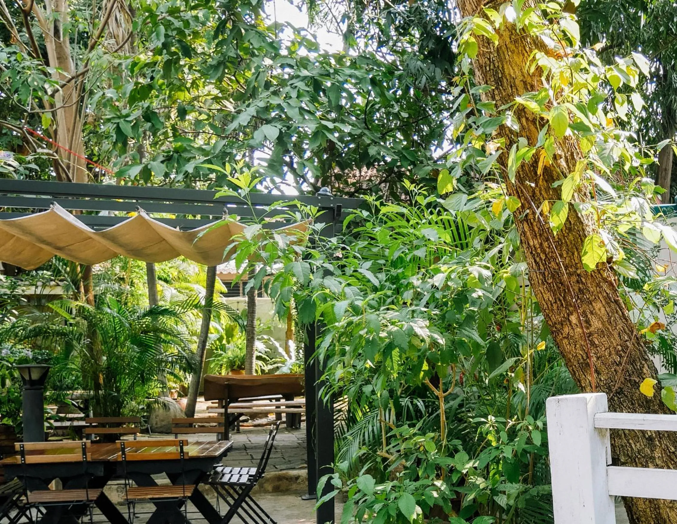Garden view in Moradok Thai Guesthouse