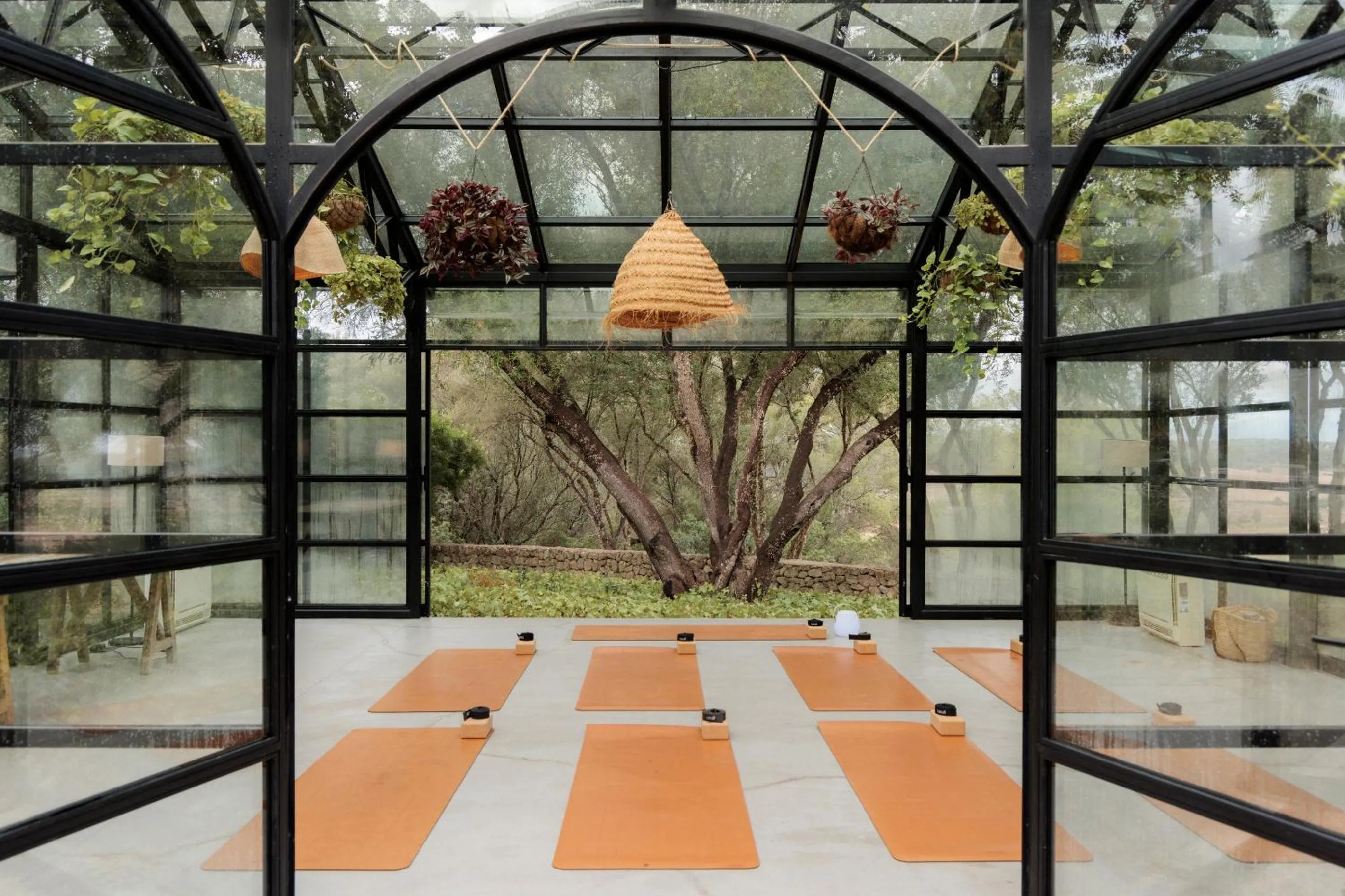 Activities in Finca Serena Mallorca, Small Luxury Hotels