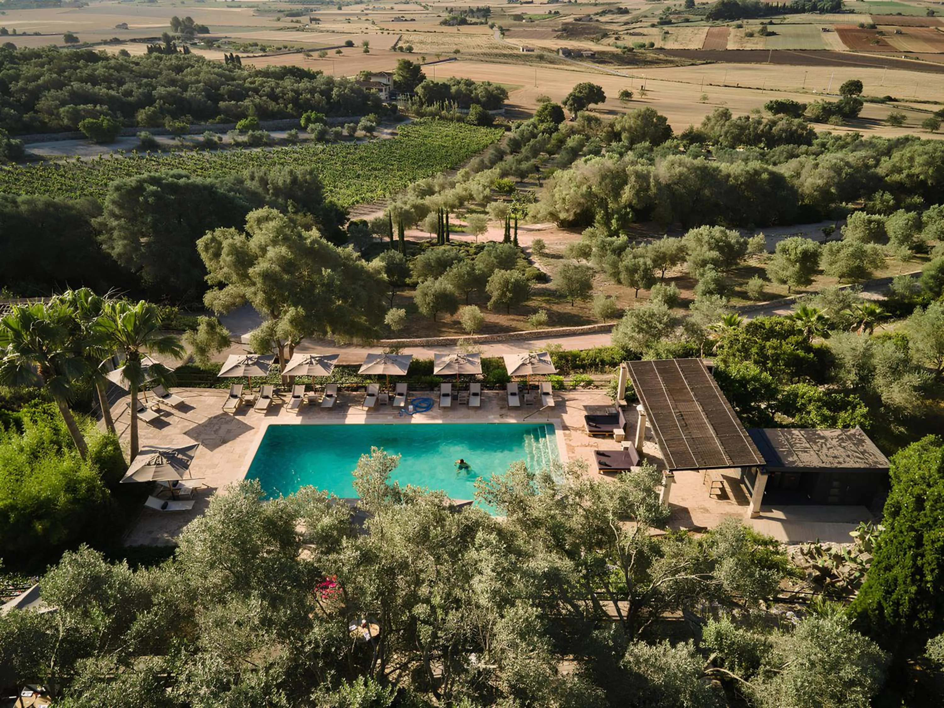 Pool view in Finca Serena Mallorca, Small Luxury Hotels
