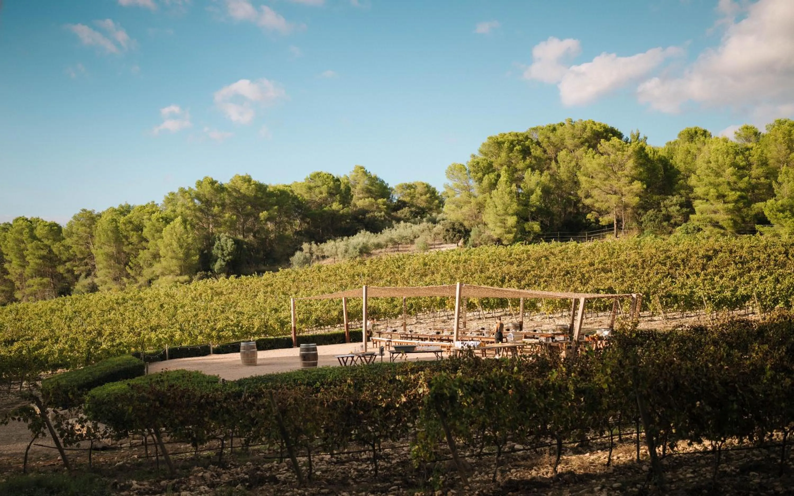 Natural landscape in Finca Serena Mallorca, Small Luxury Hotels