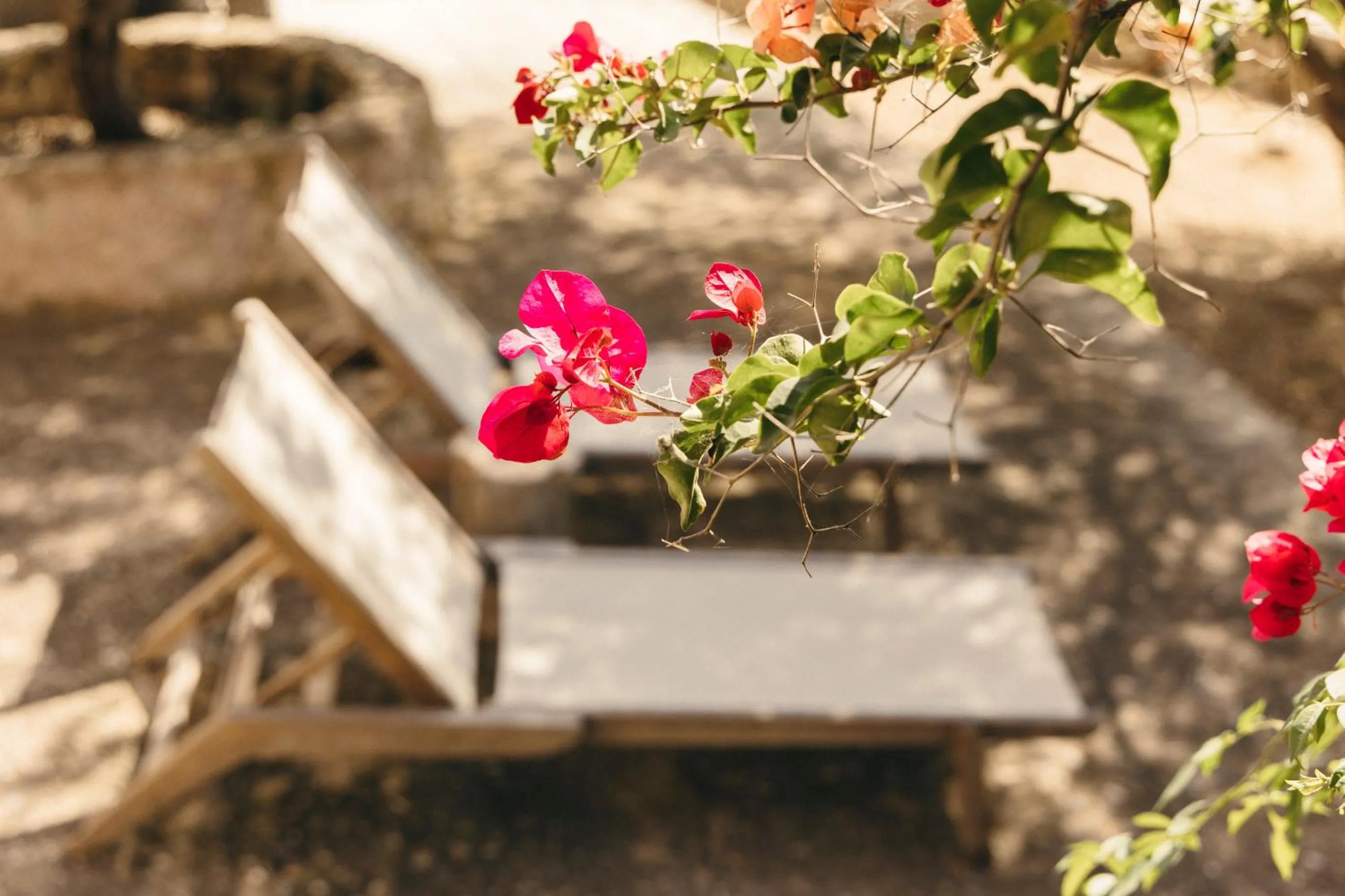 Garden in Finca Serena Mallorca, Small Luxury Hotels