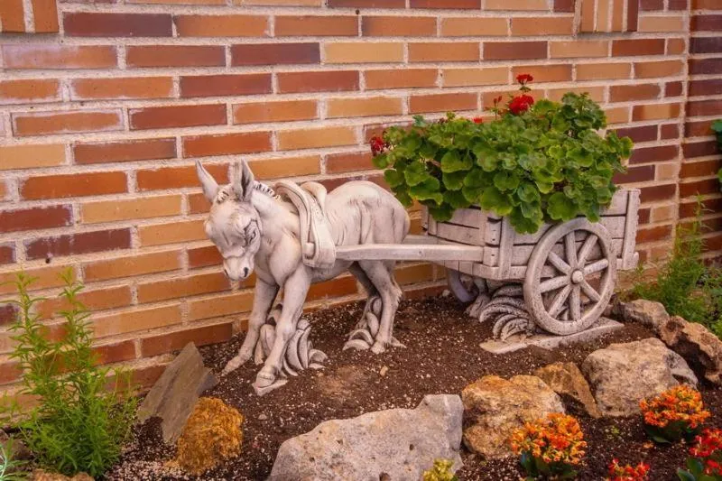 Patio in Hostal El Cruce