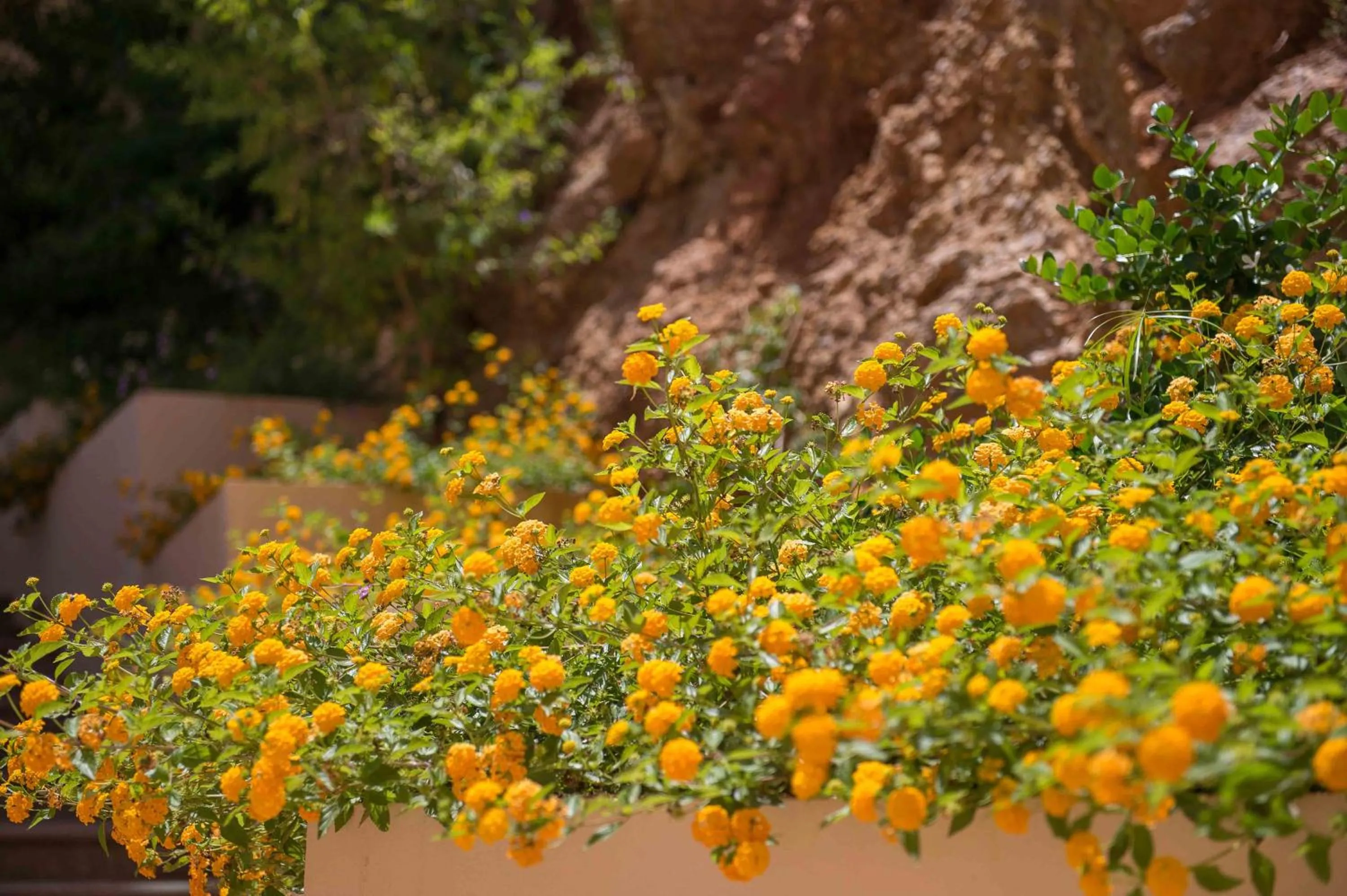 Property building in Balos Beach