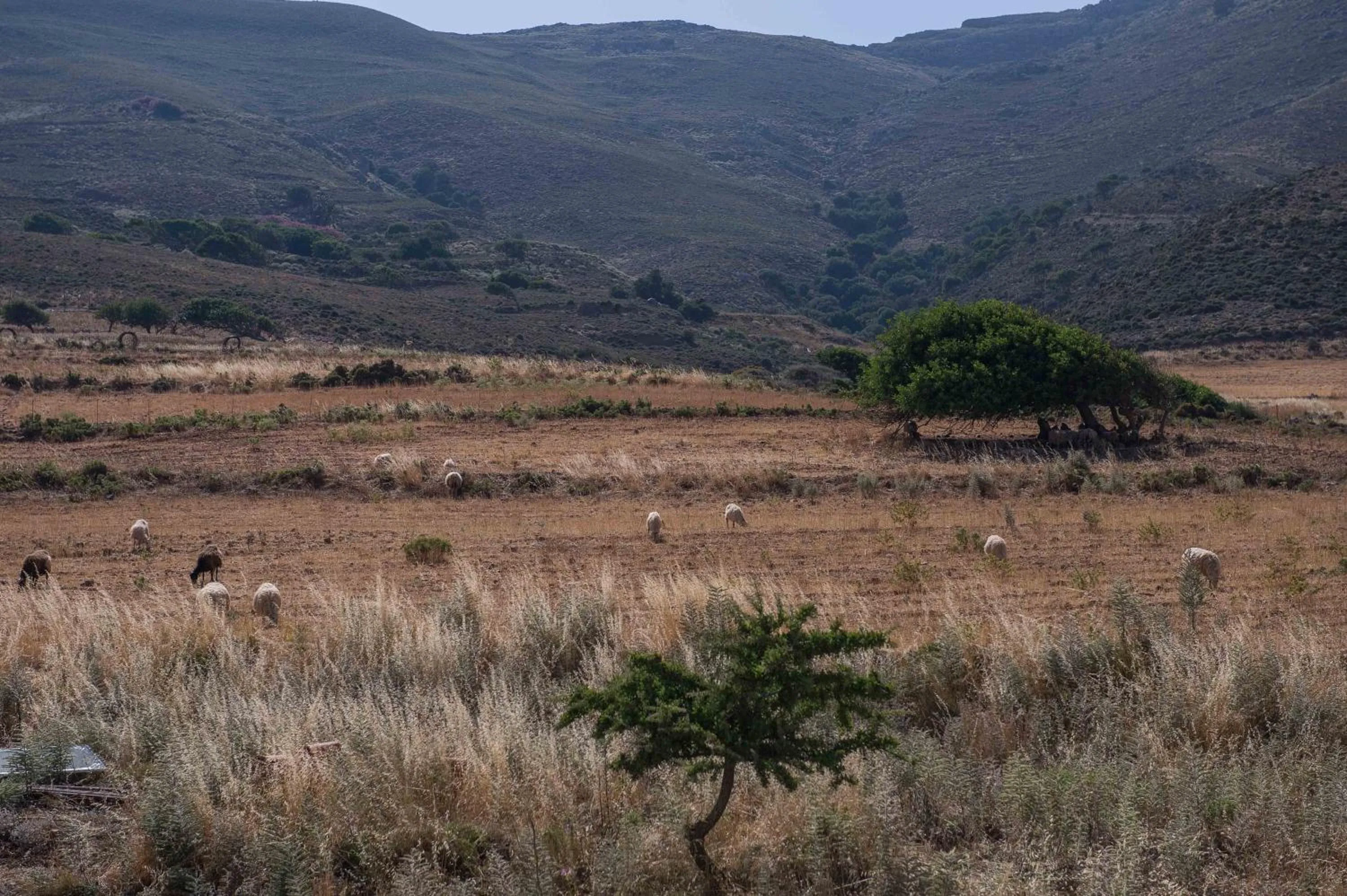 Property building in Balos Beach