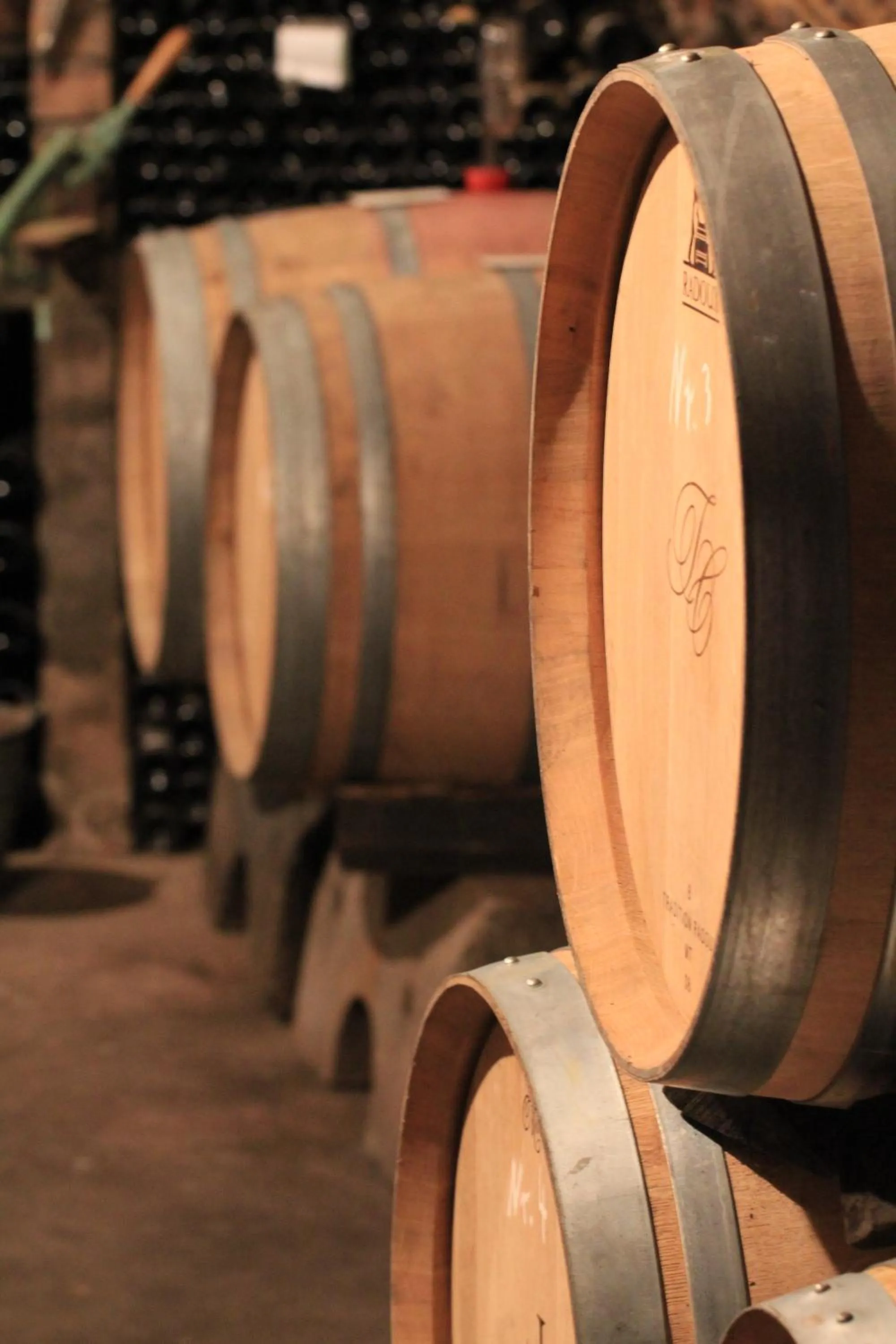 Area and facilities in Gasthof Krancher