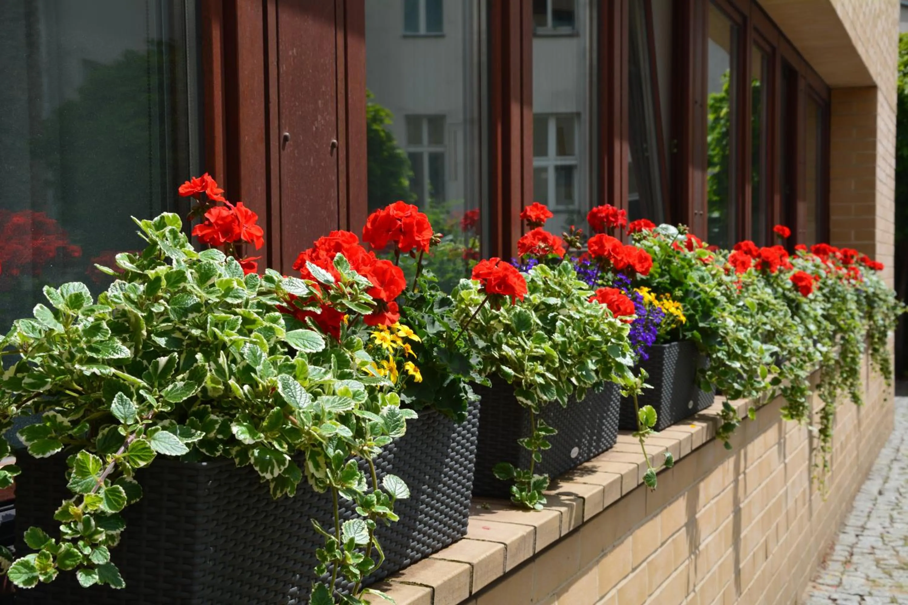 Facade/entrance in Hotel Aquino Berlin