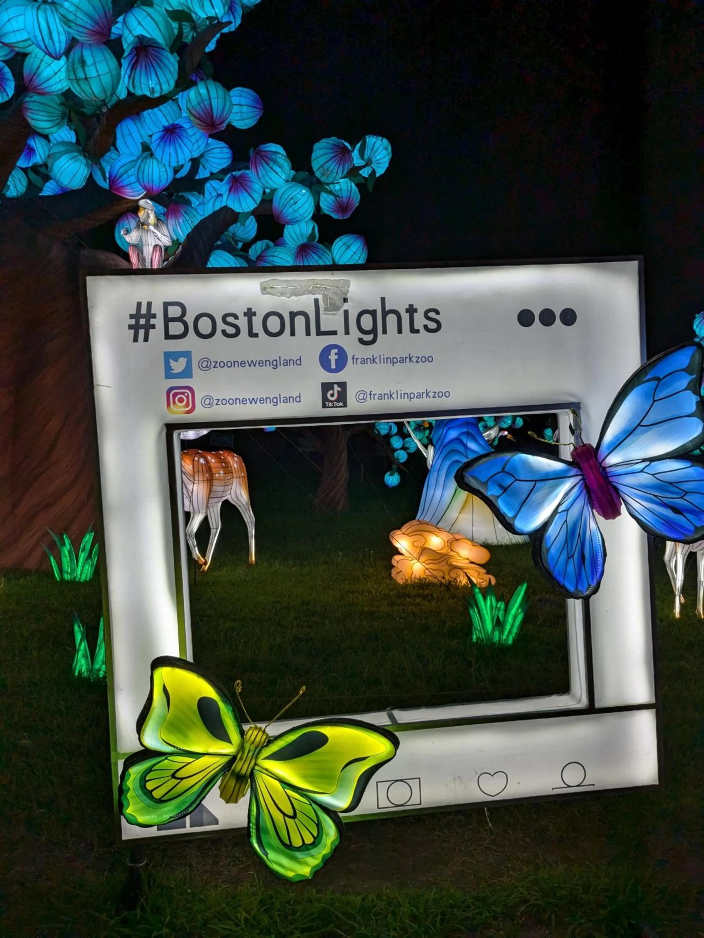 Boston Homestel