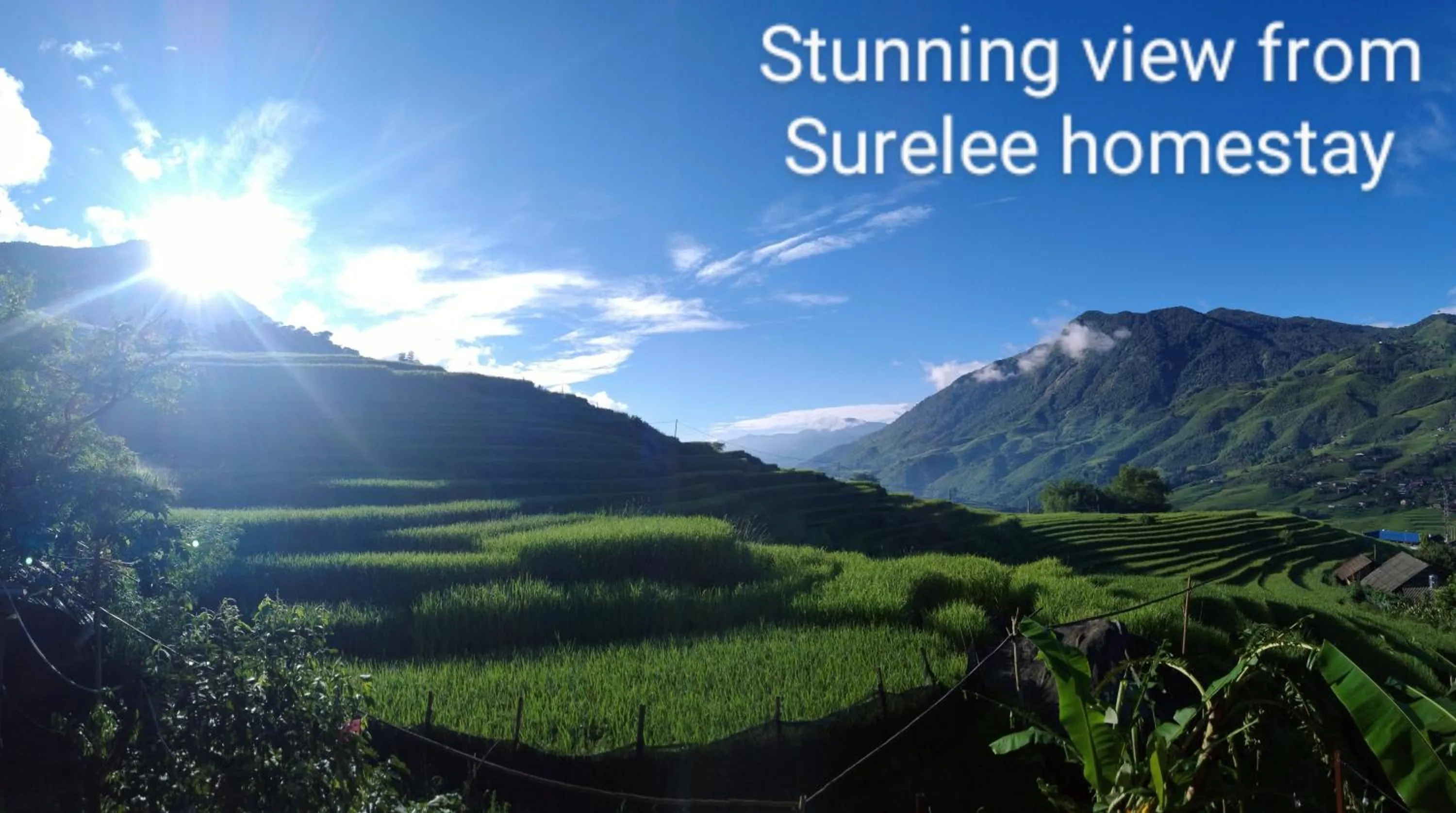 Natural landscape in Surelee Homestay