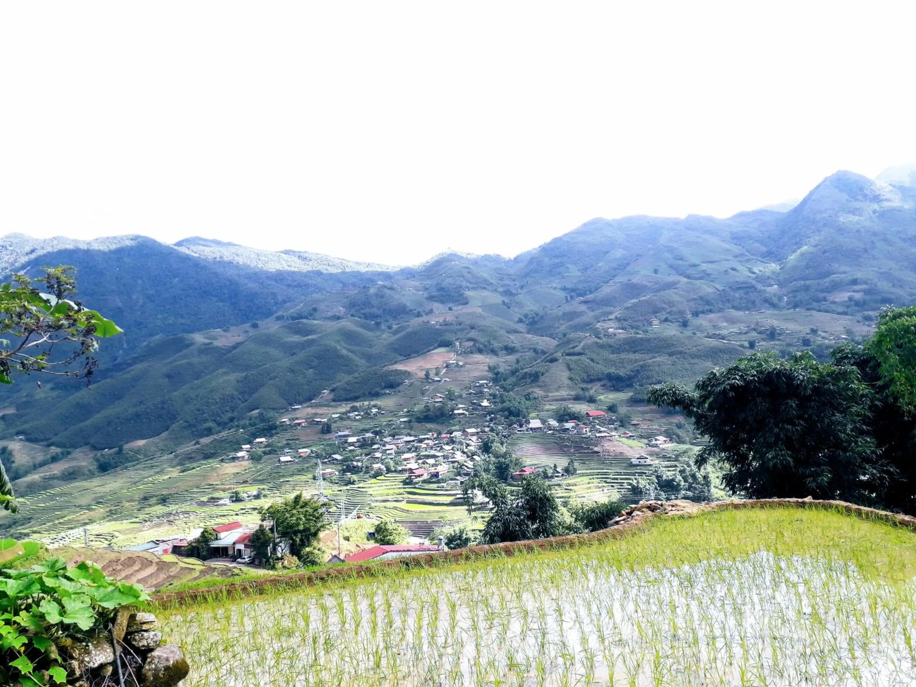 Natural landscape in Surelee Homestay