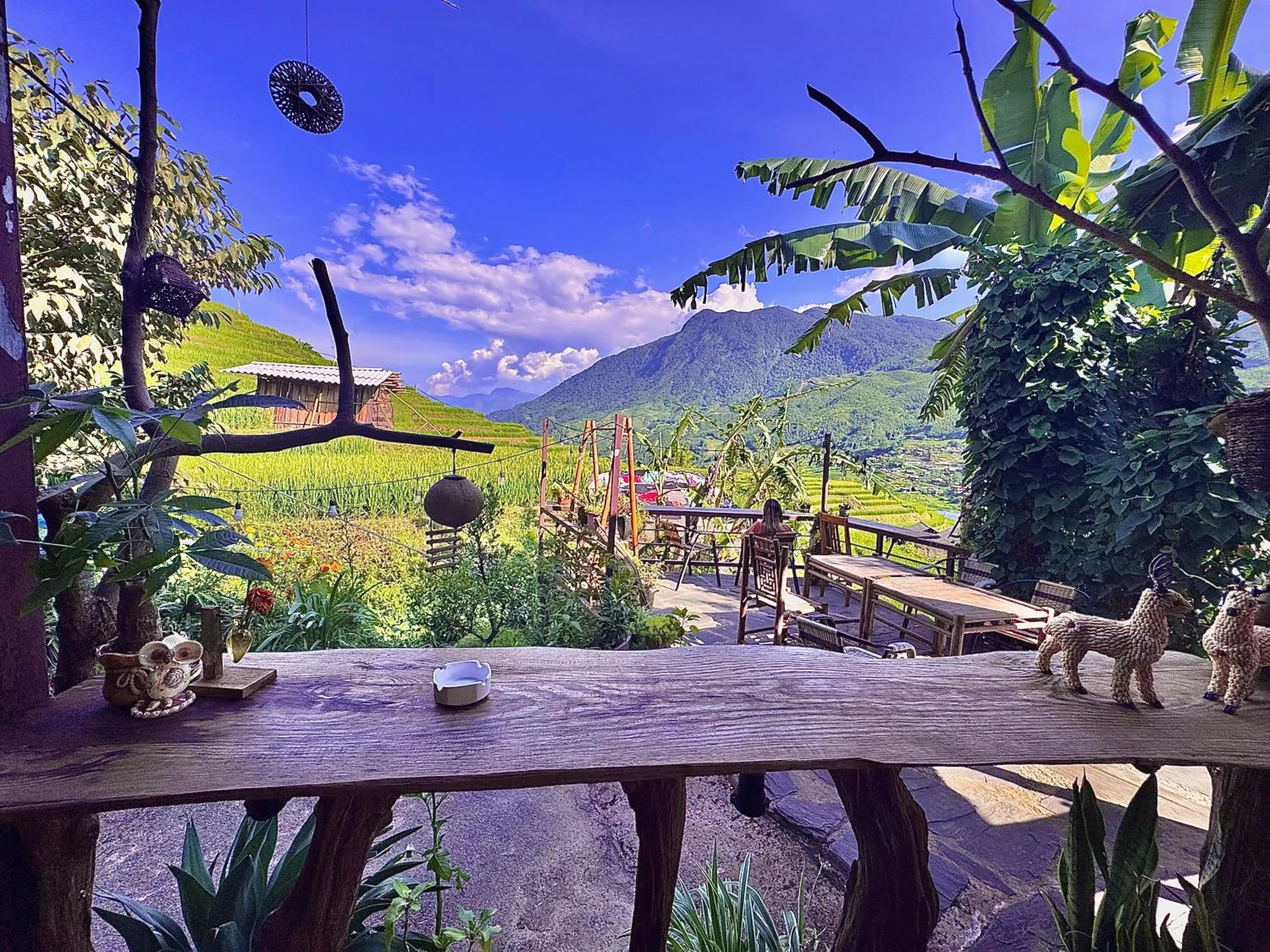 Natural landscape in Surelee Homestay
