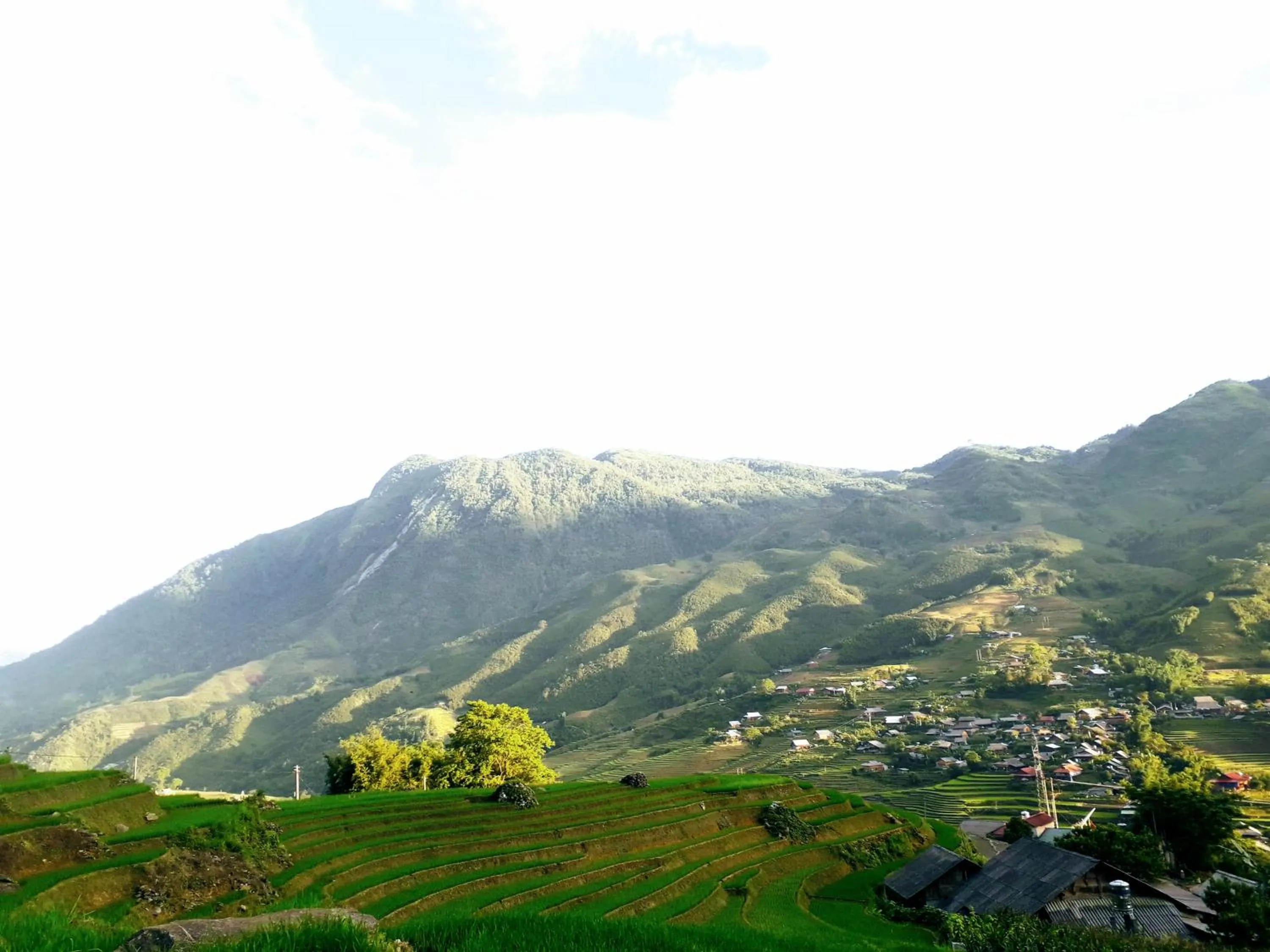 Natural landscape in Surelee Homestay